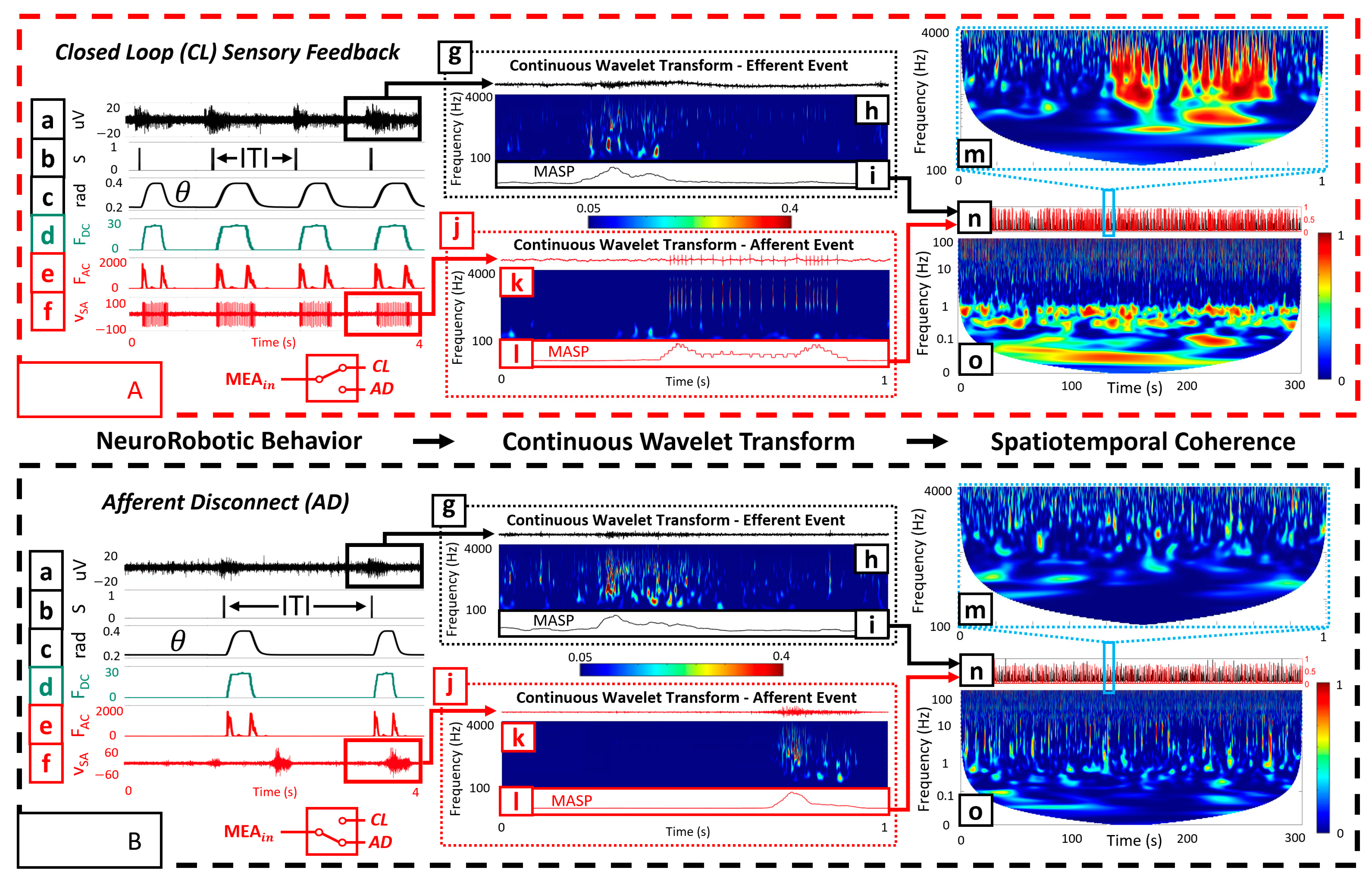 Biomimetics 09 00078 g003
