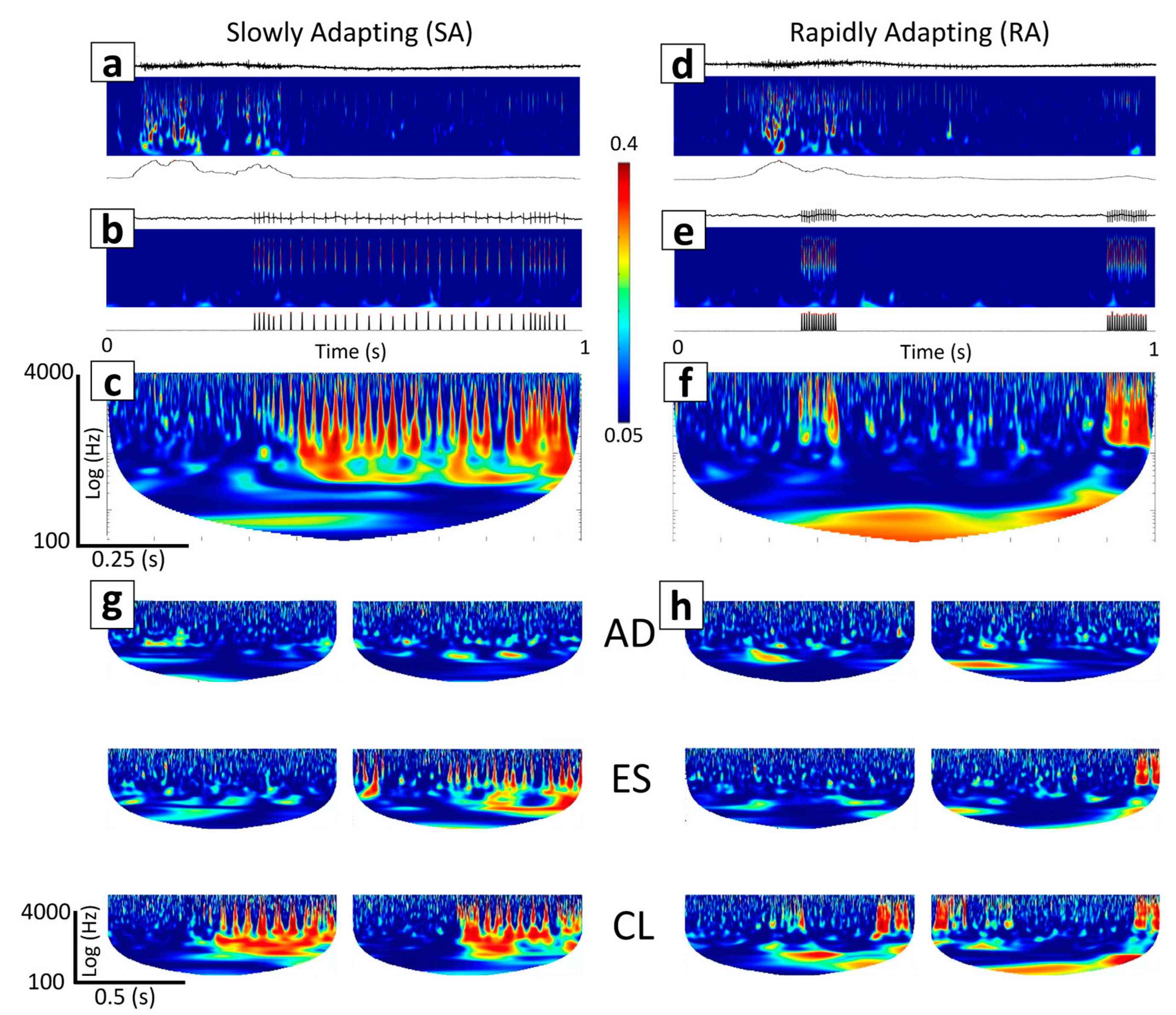 Biomimetics 09 00078 g005