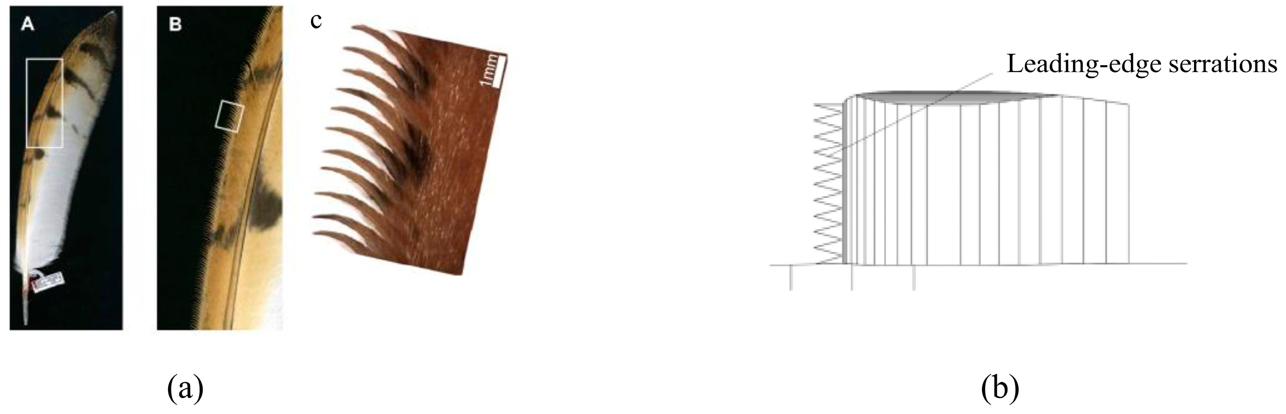 Biomimetics 09 00079 g018