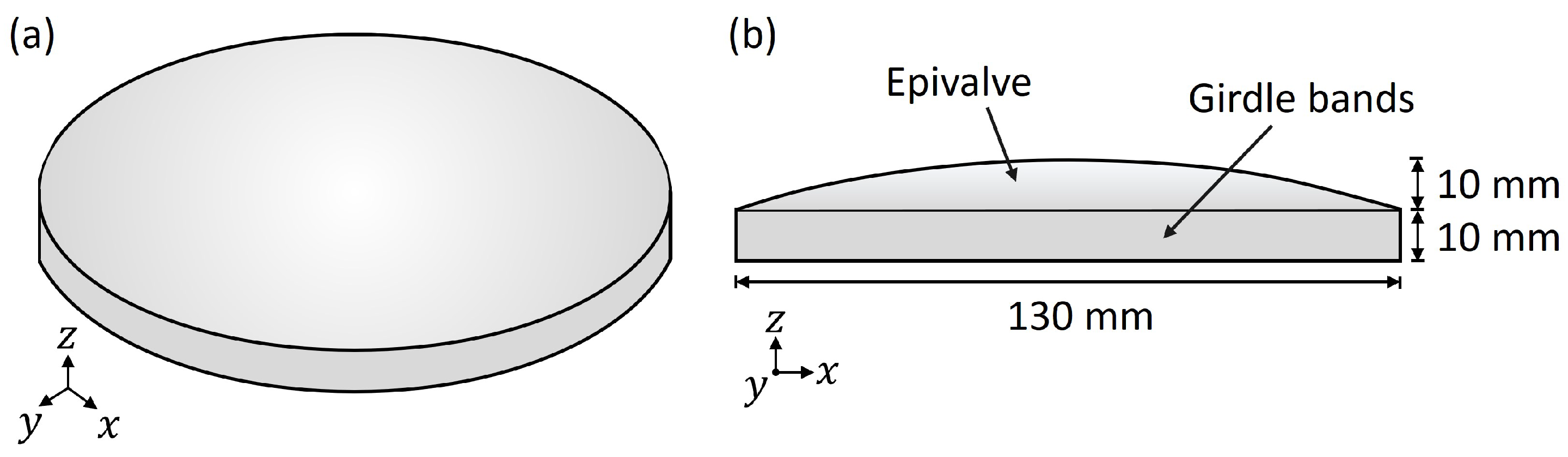 Biomimetics 09 00085 g003