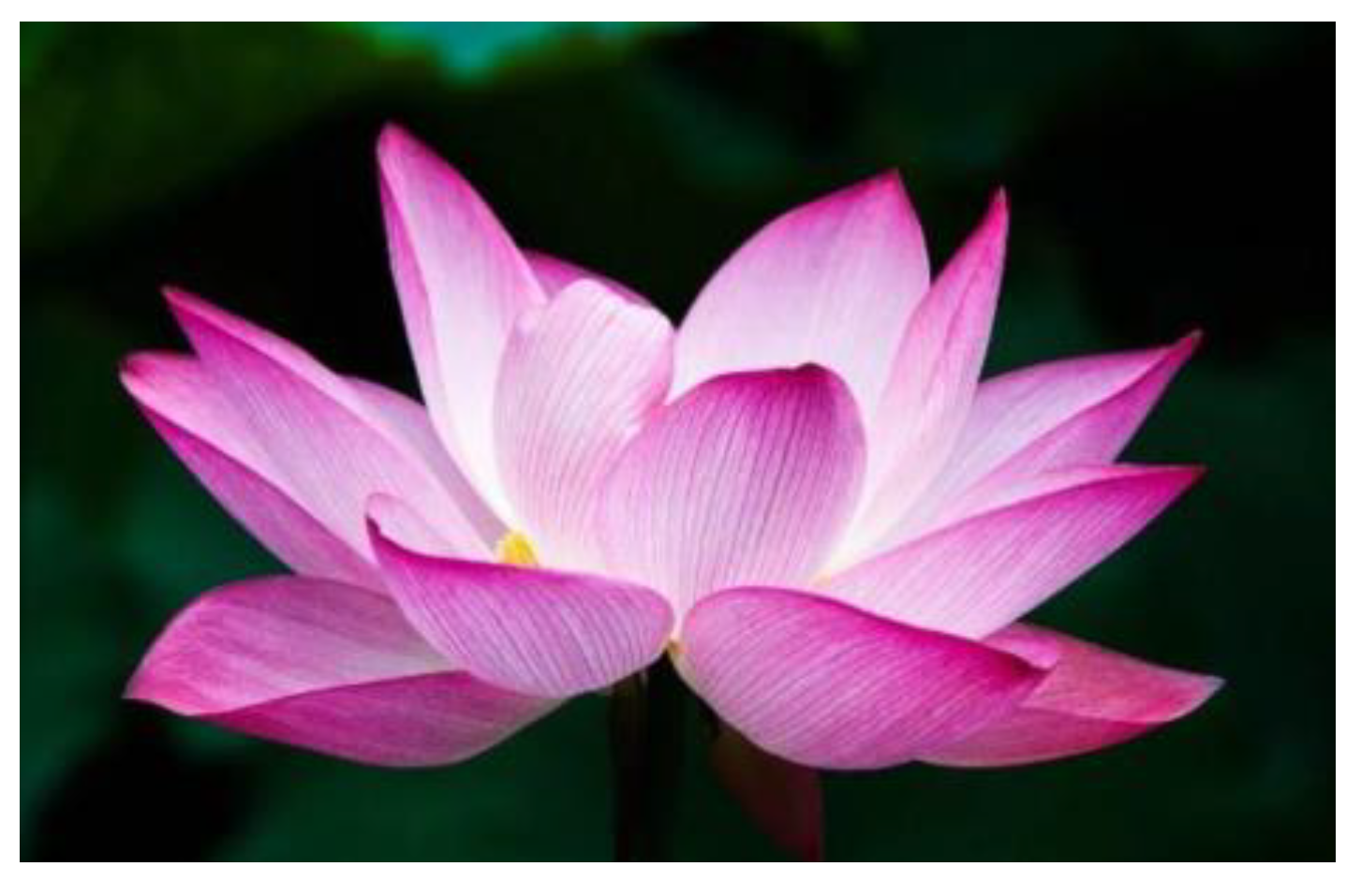 Biomimetics 09 00090 g004 Biomimetics 09 00090 g004