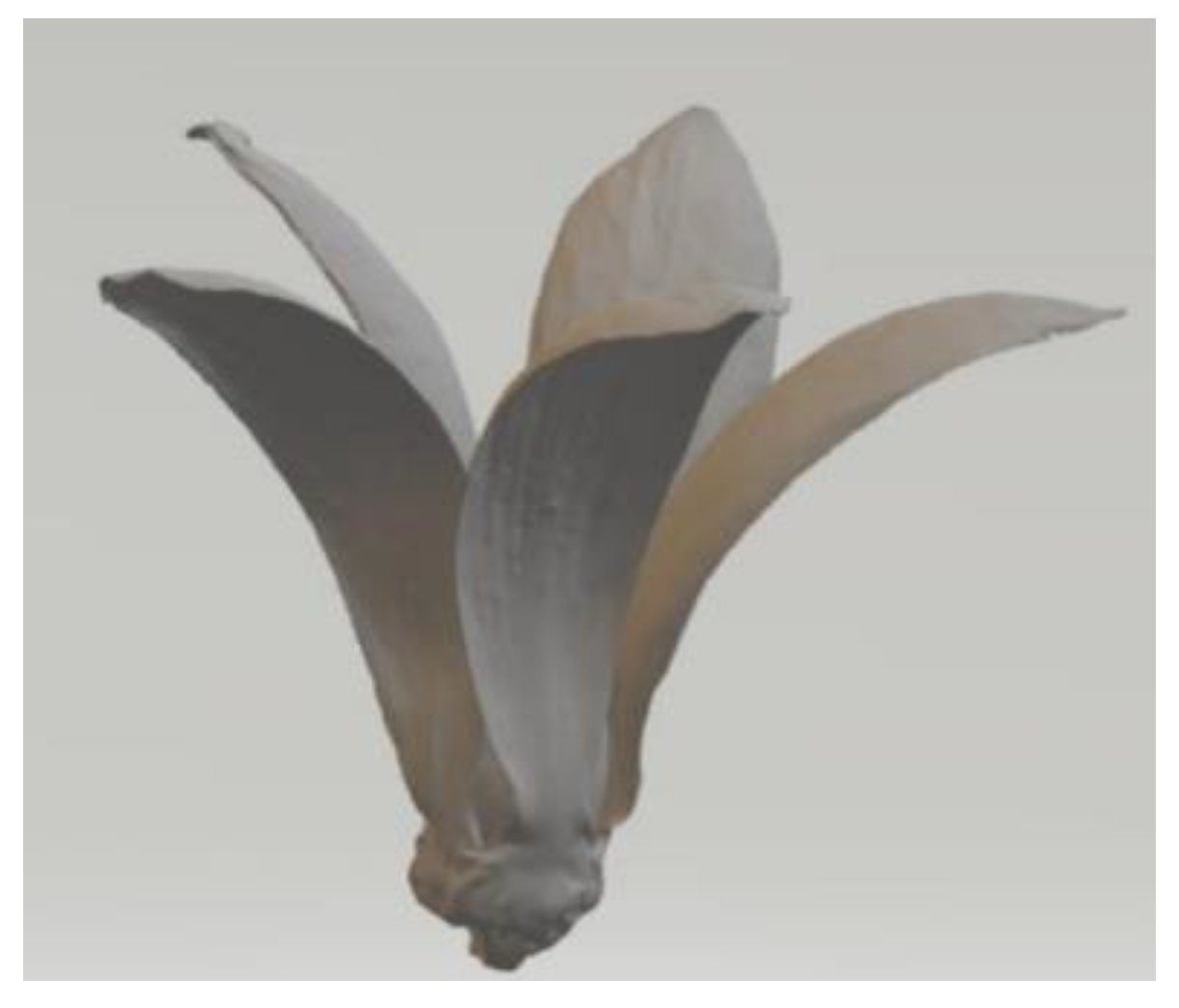 Biomimetics 09 00090 g008 Biomimetics 09 00090 g008