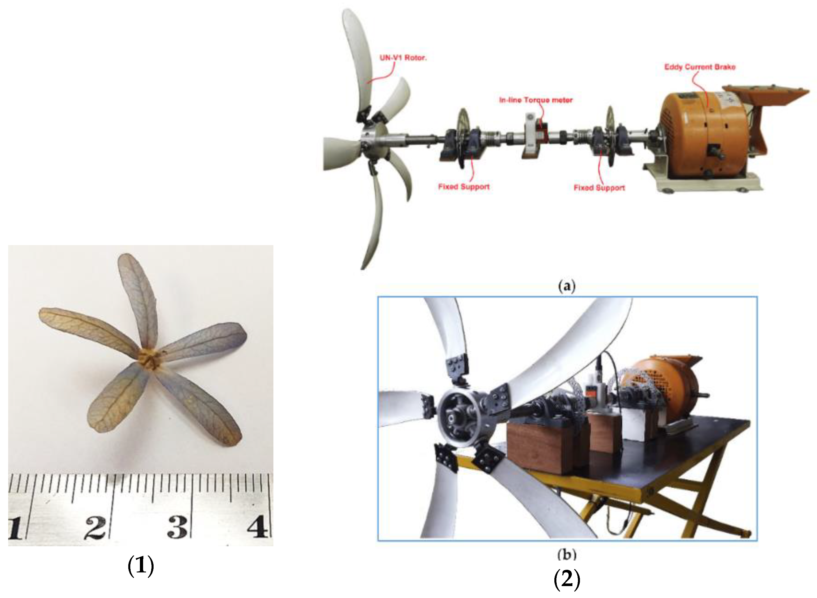 Biomimetics 09 00090 g009 Biomimetics 09 00090 g009
