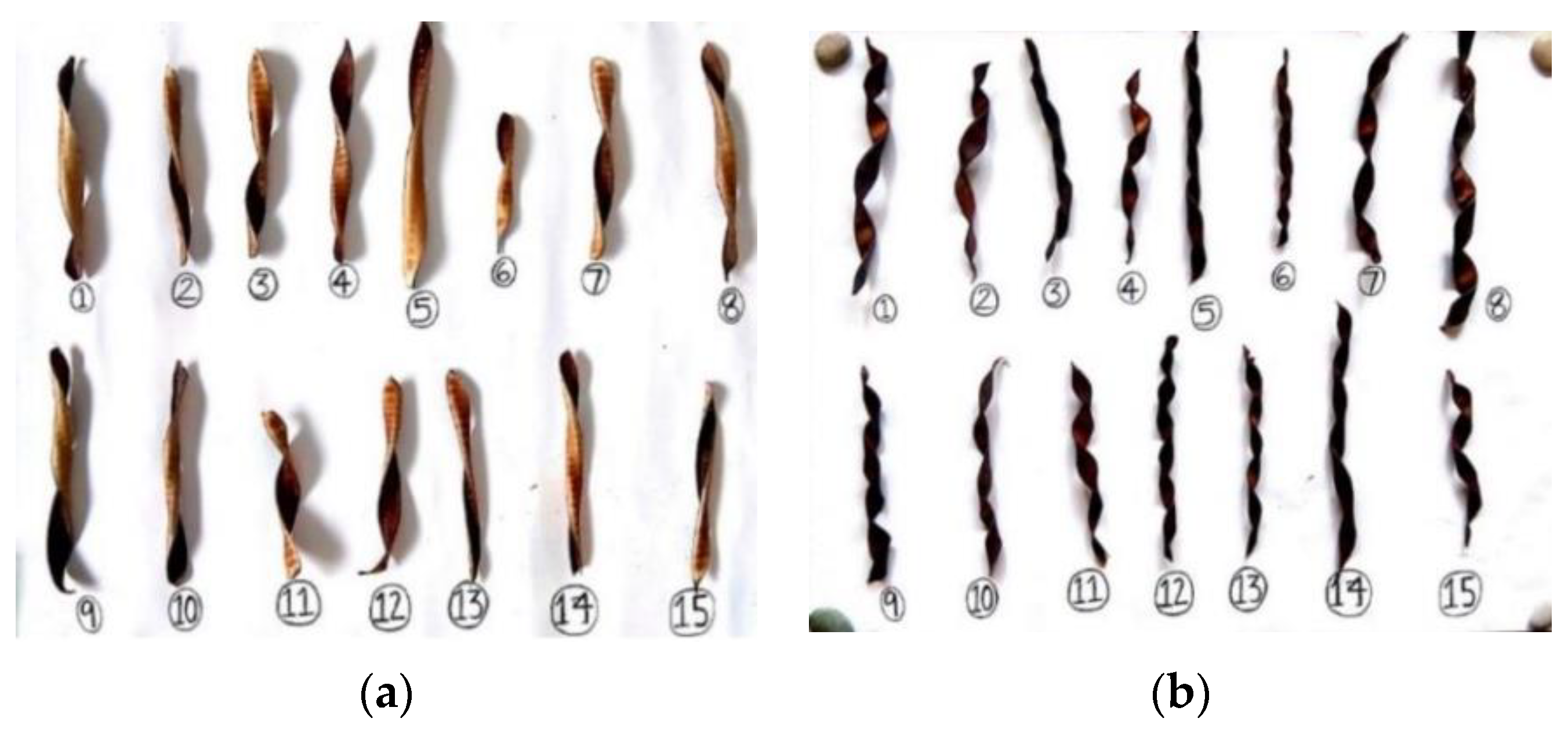 Biomimetics 09 00090 g010 Biomimetics 09 00090 g010