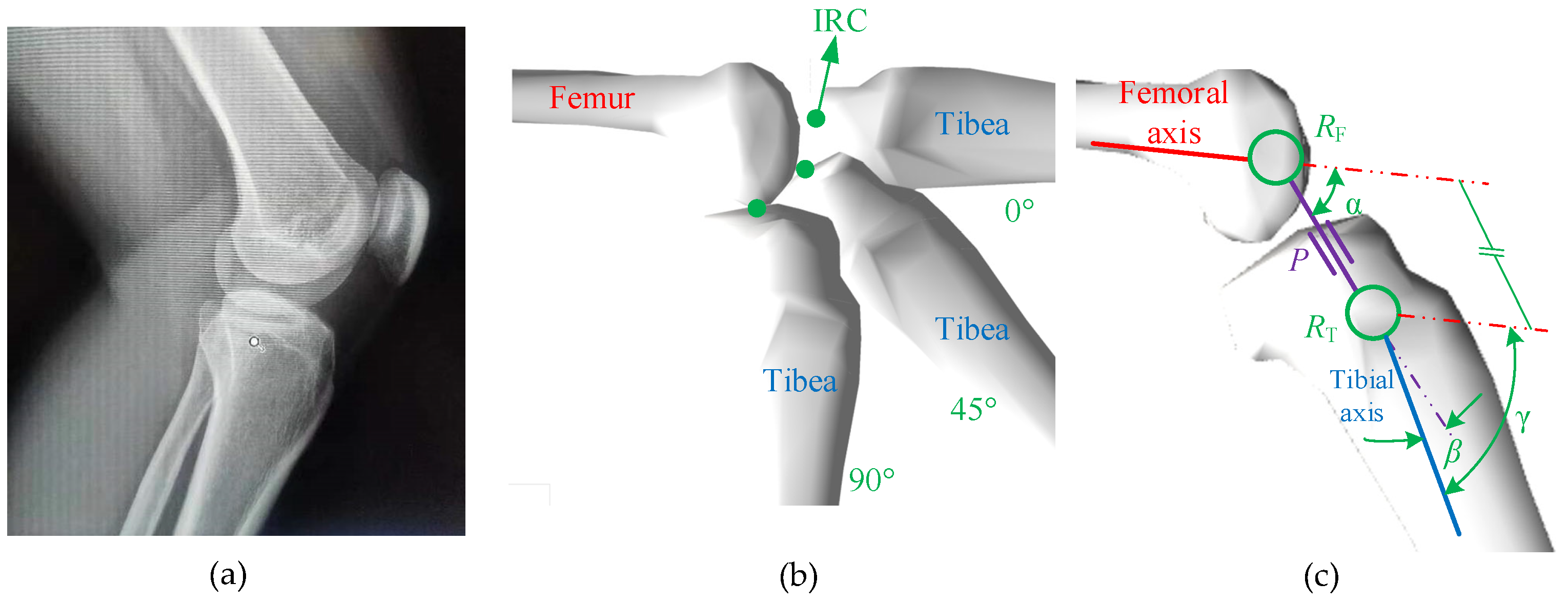 Biomimetics 09 00098 g001