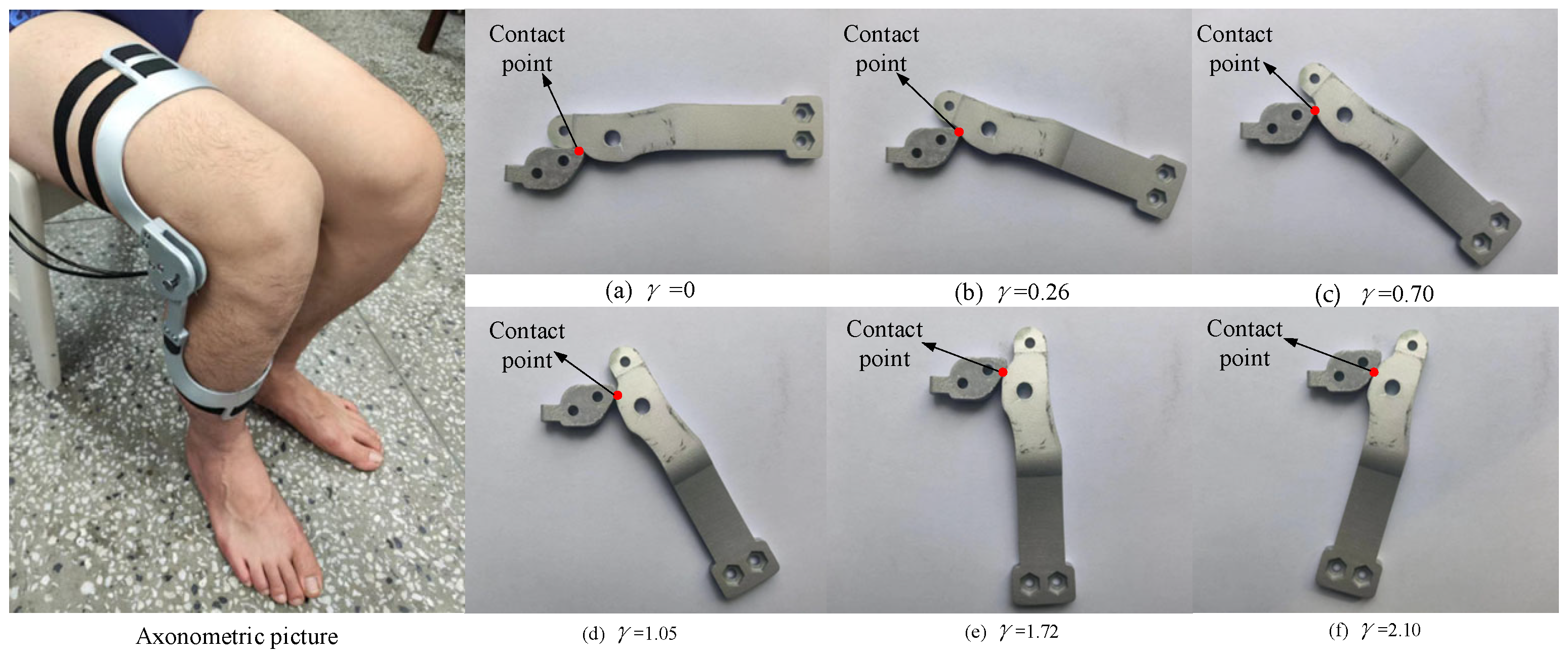 Biomimetics 09 00098 g012