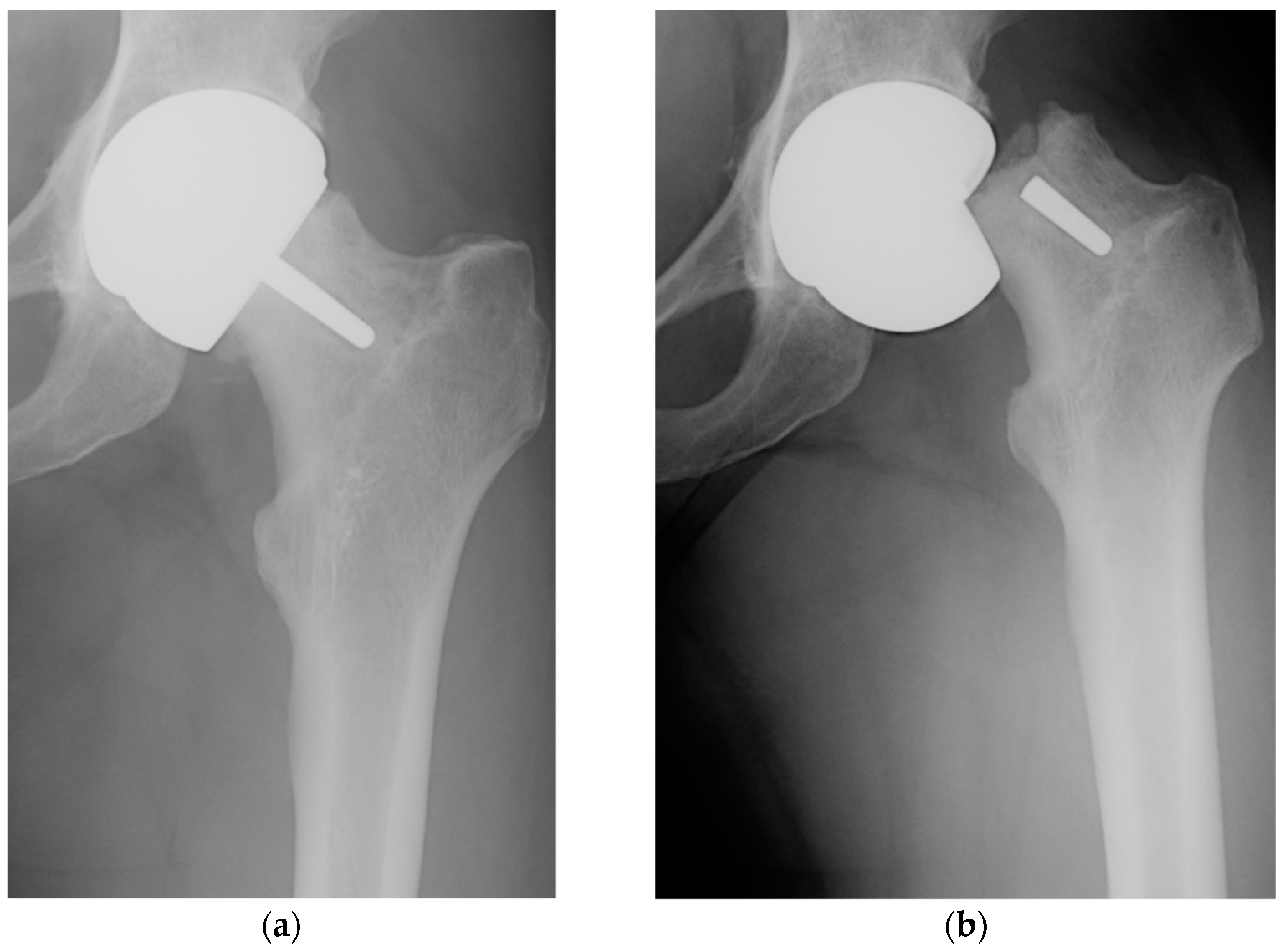 Biomimetics 09 00099 g001