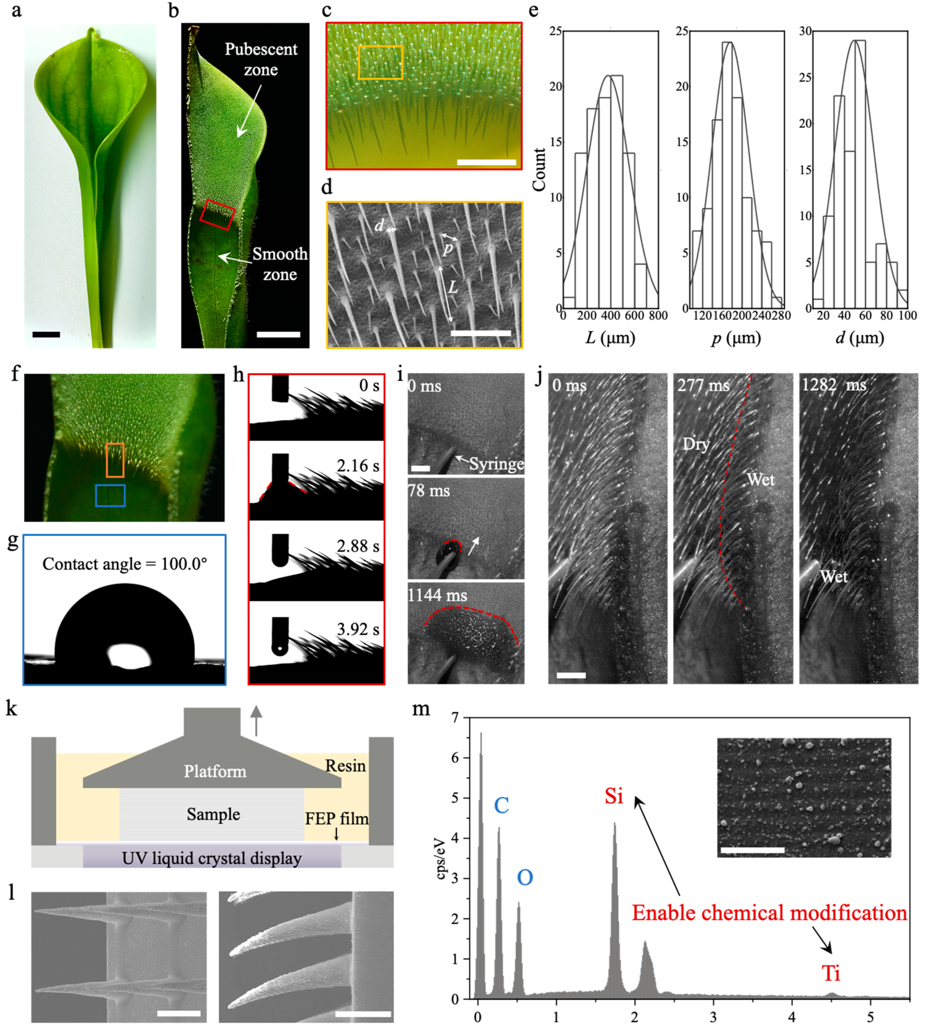 Biomimetics 09 00102 g001 Biomimetics 09 00102 g001