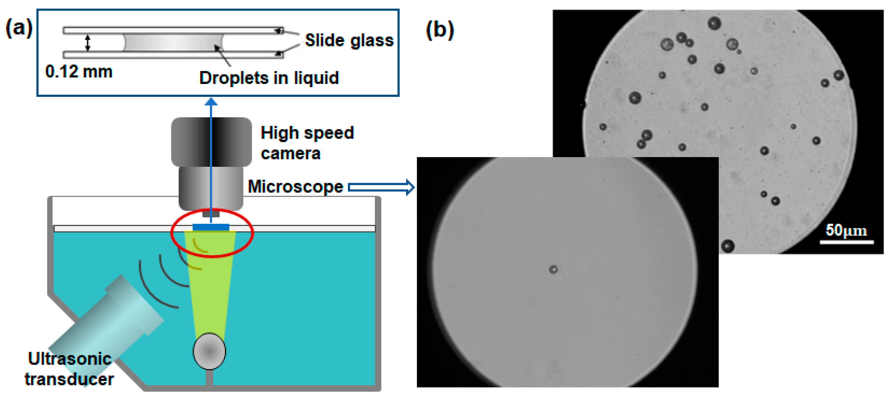 Biomimetics 09 00106 g002