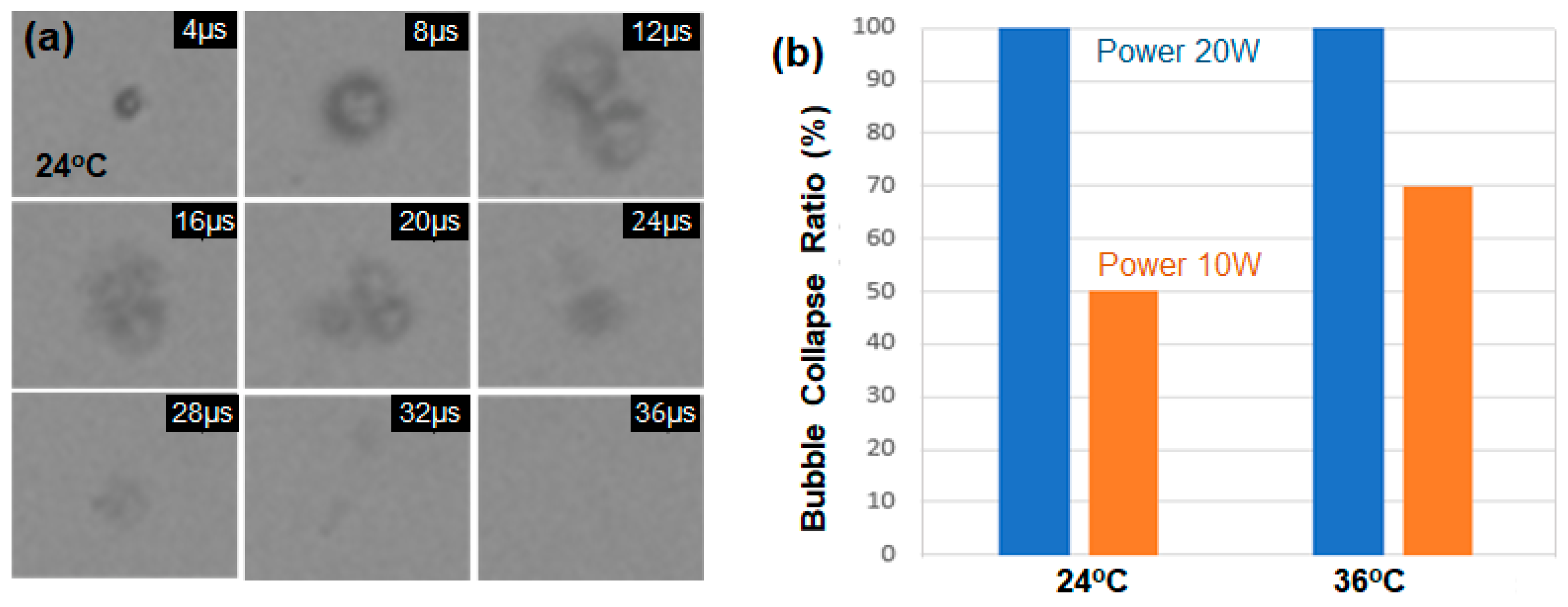 Biomimetics 09 00106 g004