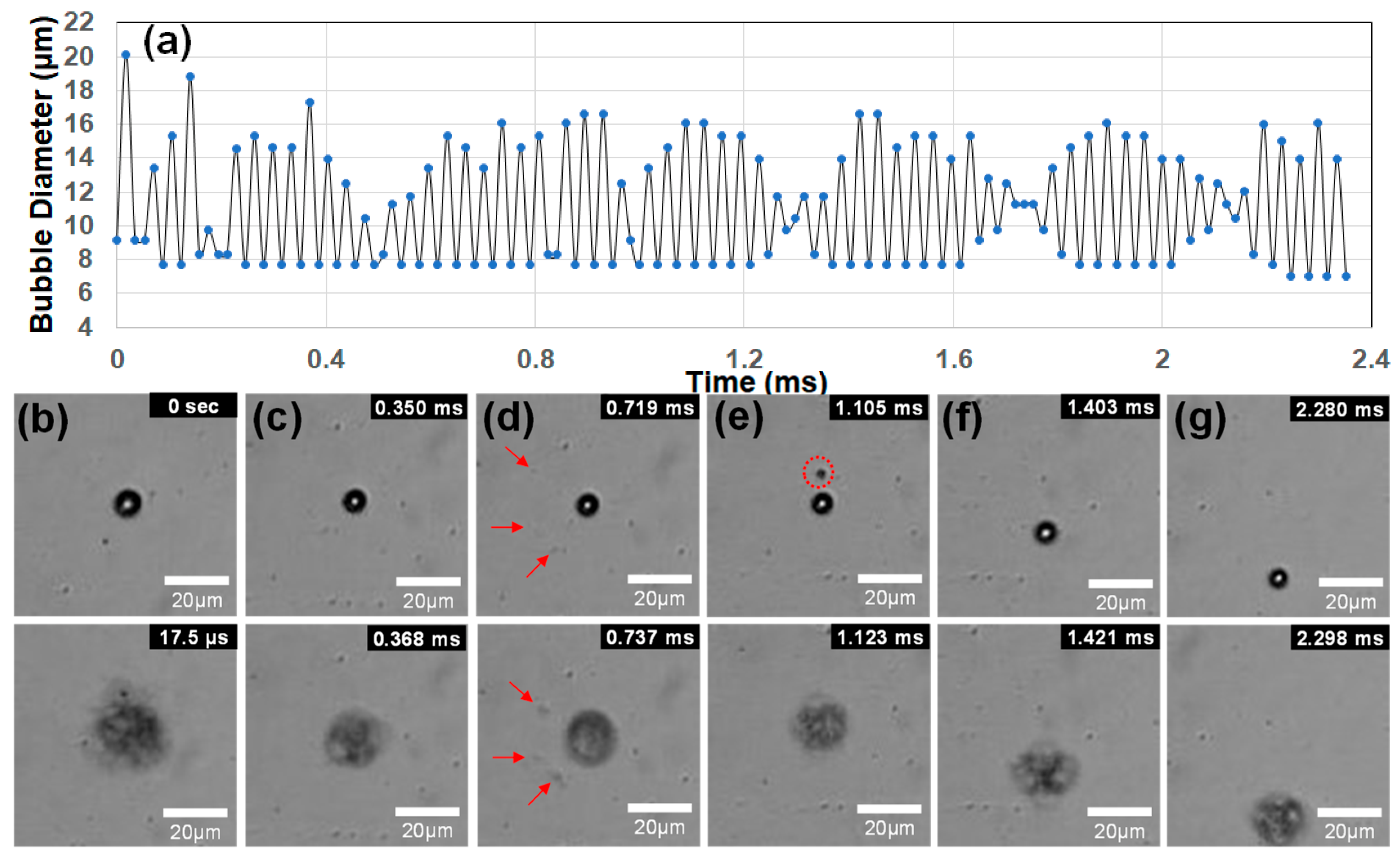 Biomimetics 09 00106 g005