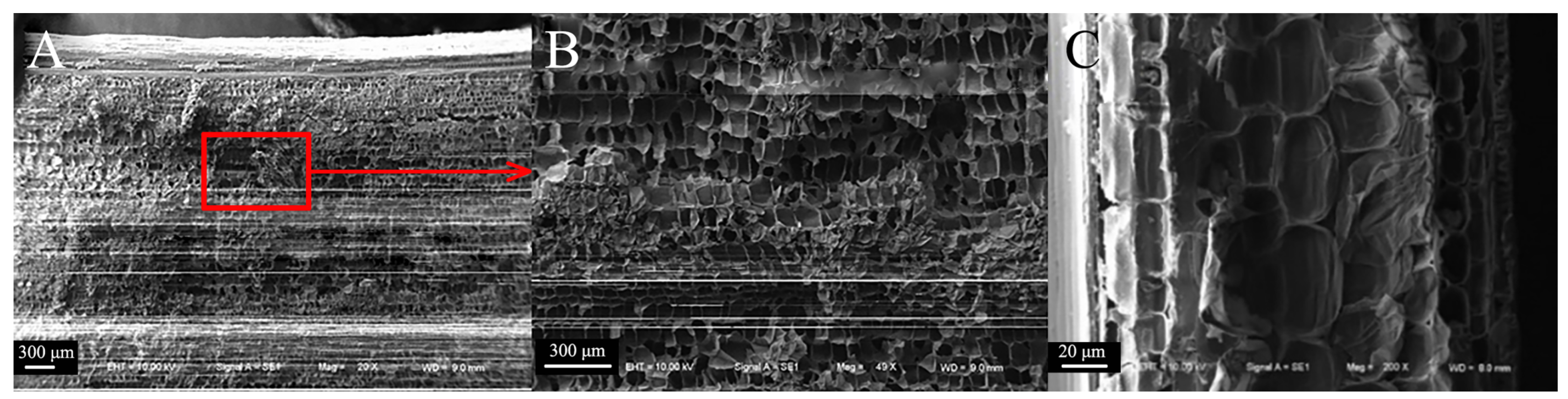 Biomimetics 09 00107 g008 Biomimetics 09 00107 g008