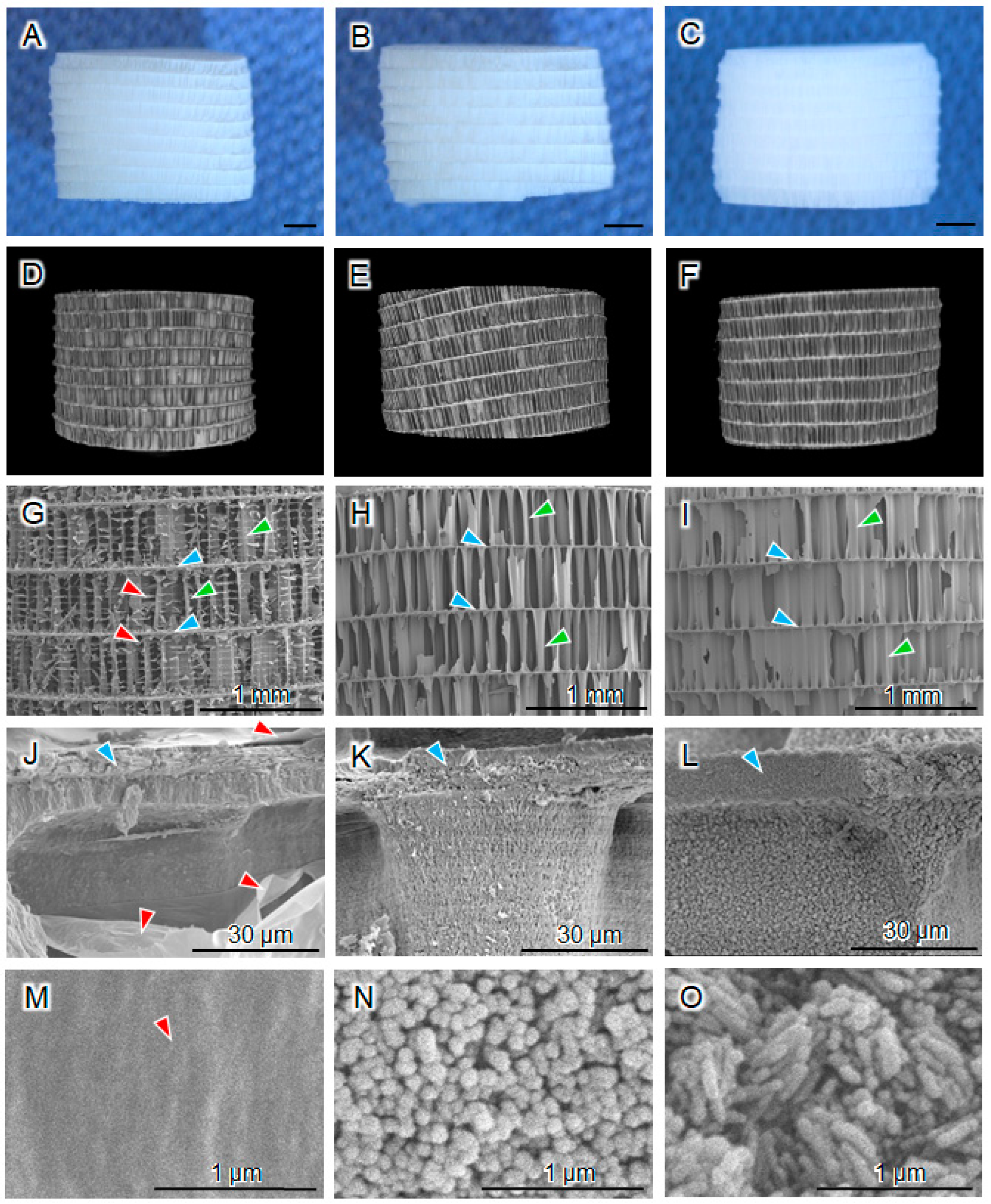 Biomimetics 09 00112 g001 Biomimetics 09 00112 g001