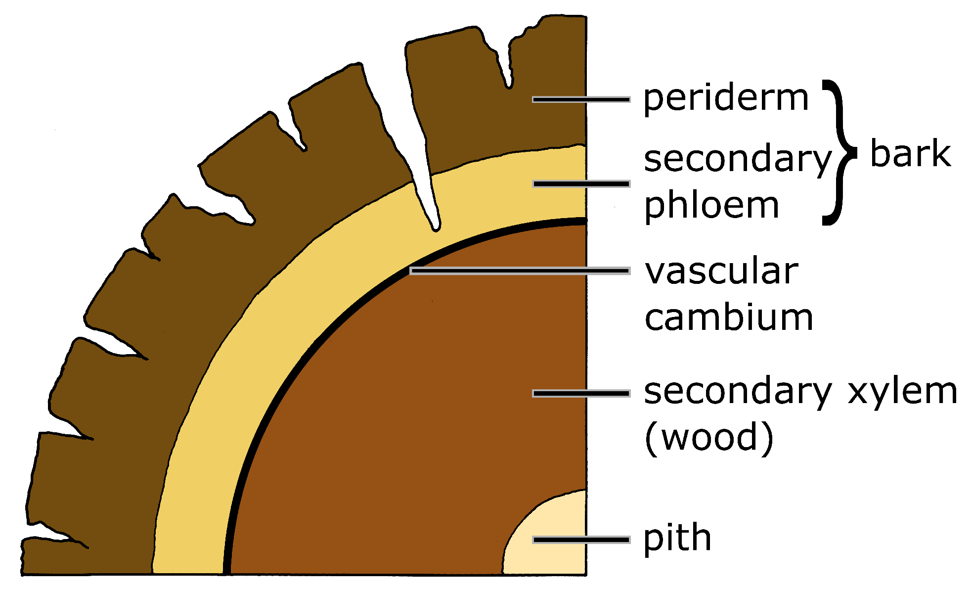 Biomimetics 09 00114 g004