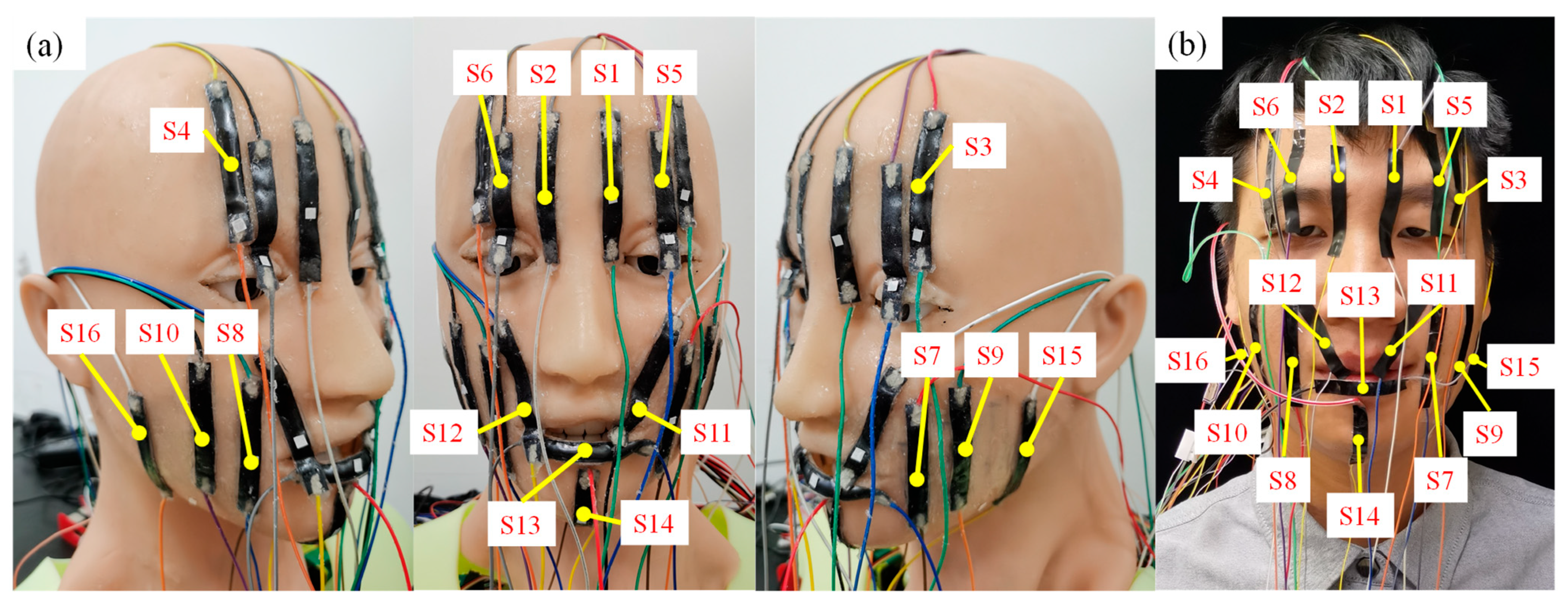 Biomimetics 09 00122 g003