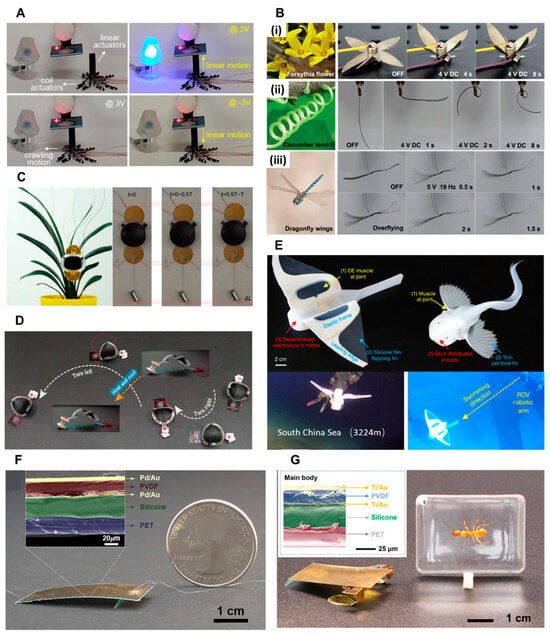 Biomimetics 09 00128 g002