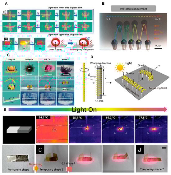 Biomimetics 09 00128 g004