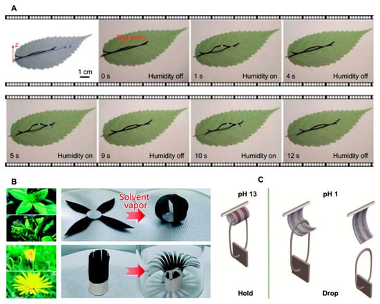 Biomimetics 09 00128 g006