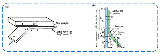 Biomimetics 09 00144 g002