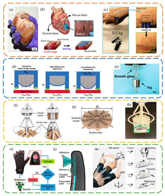 Biomimetics 09 00144 g008
