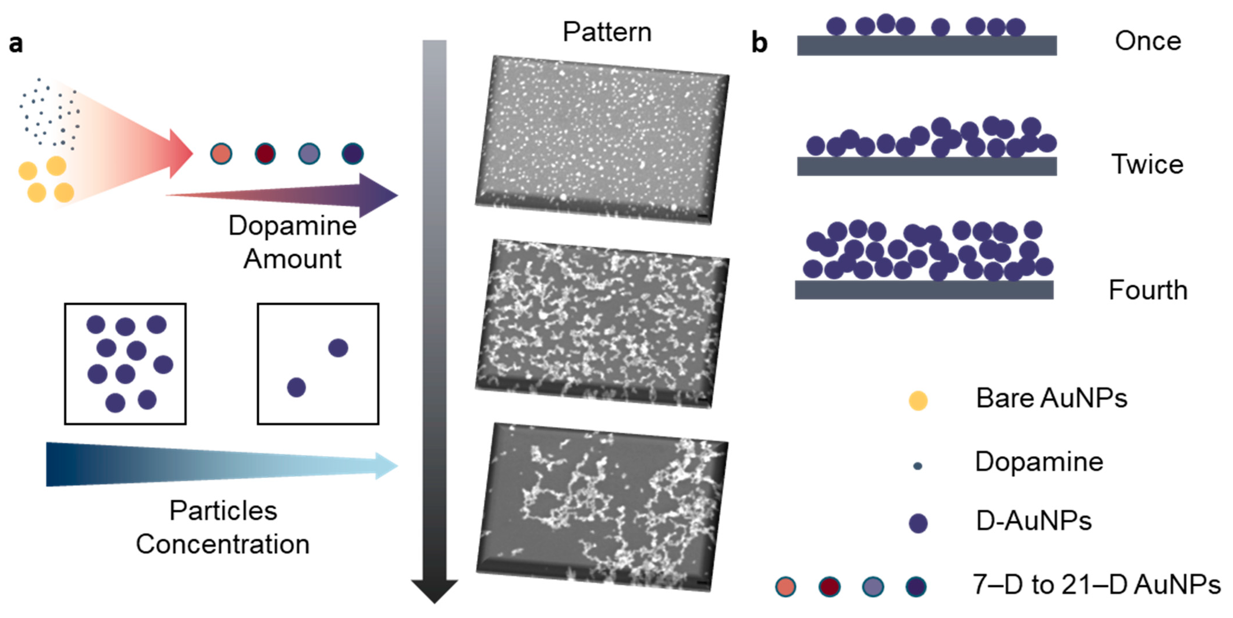 Biomimetics 09 00146 sch001