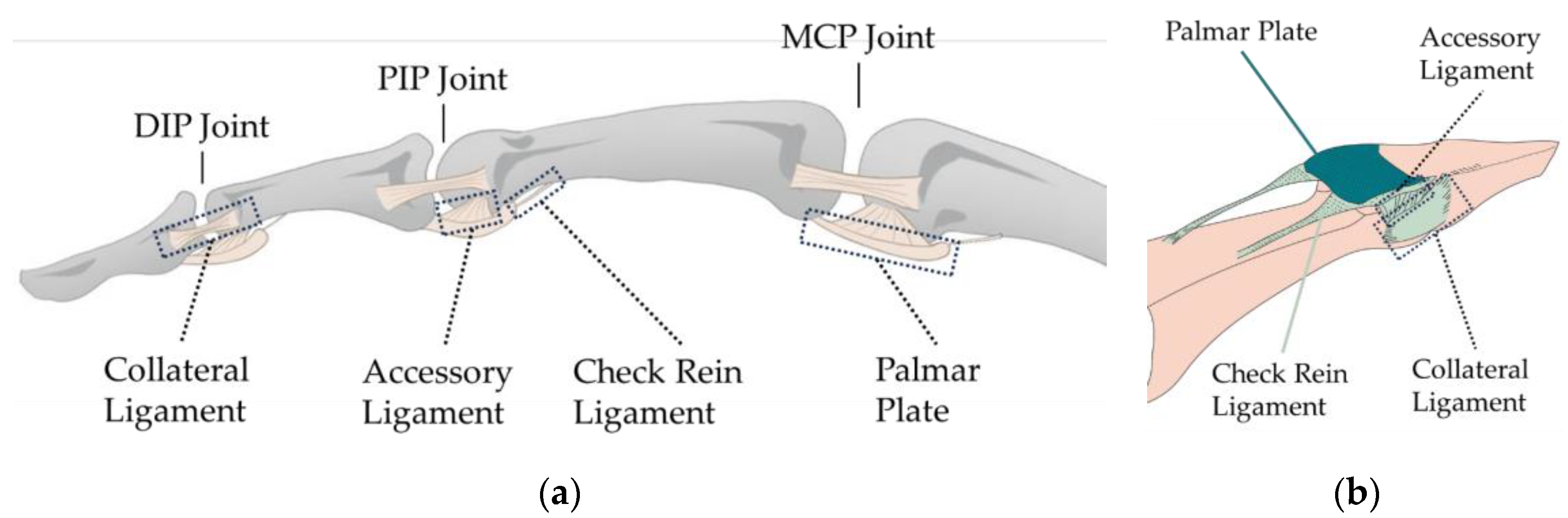 Biomimetics 09 00151 g002