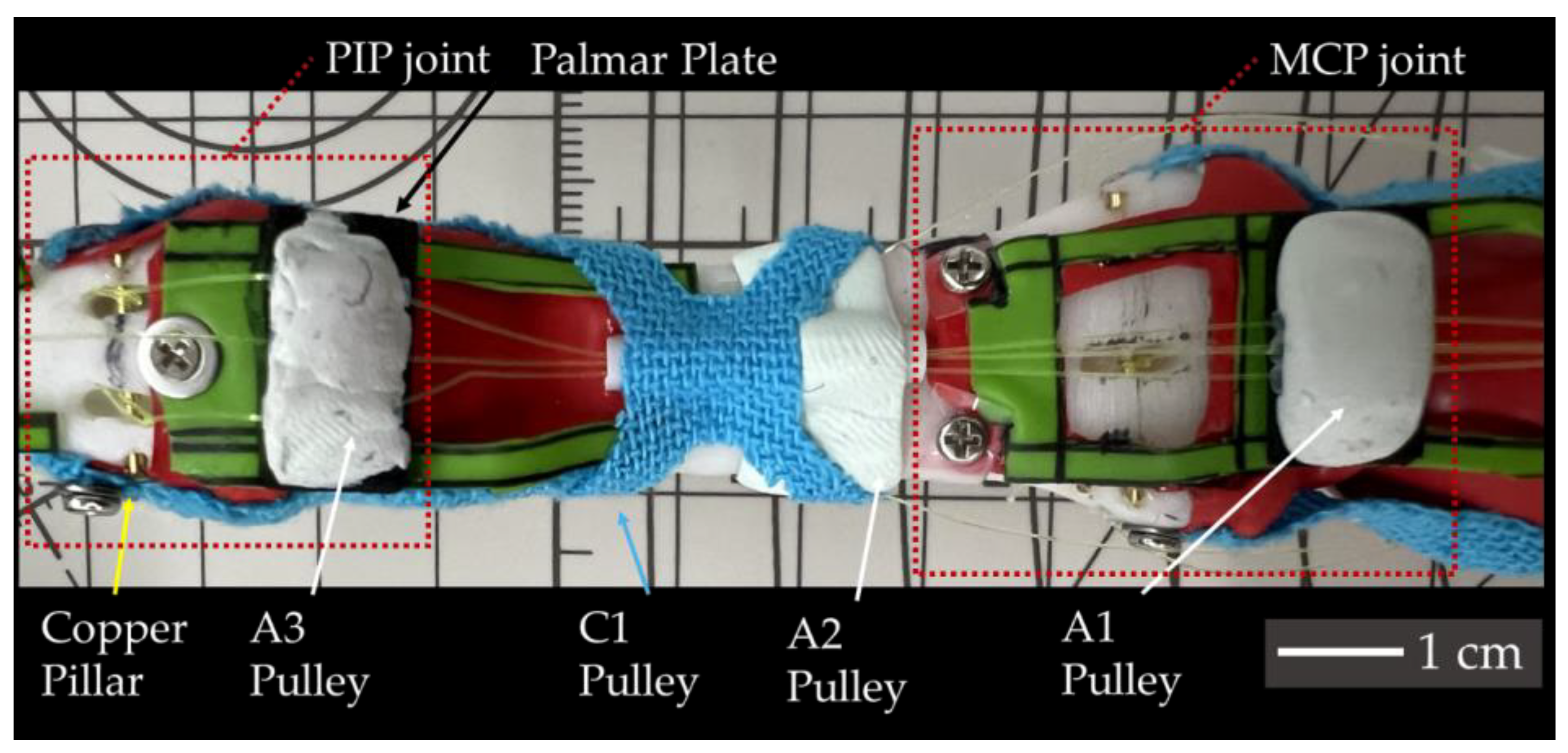 Biomimetics 09 00151 g007