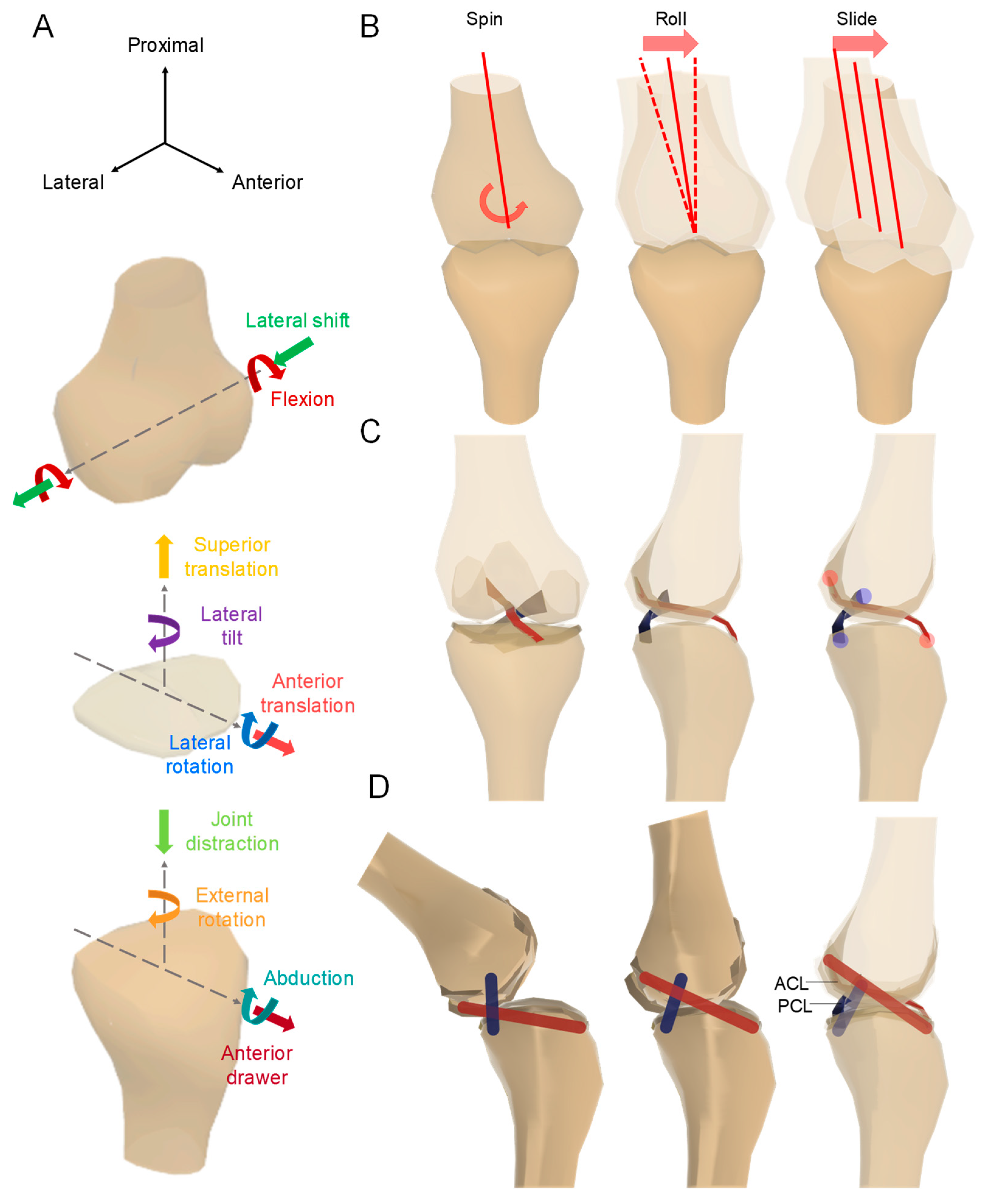 Biomimetics 09 00166 g002
