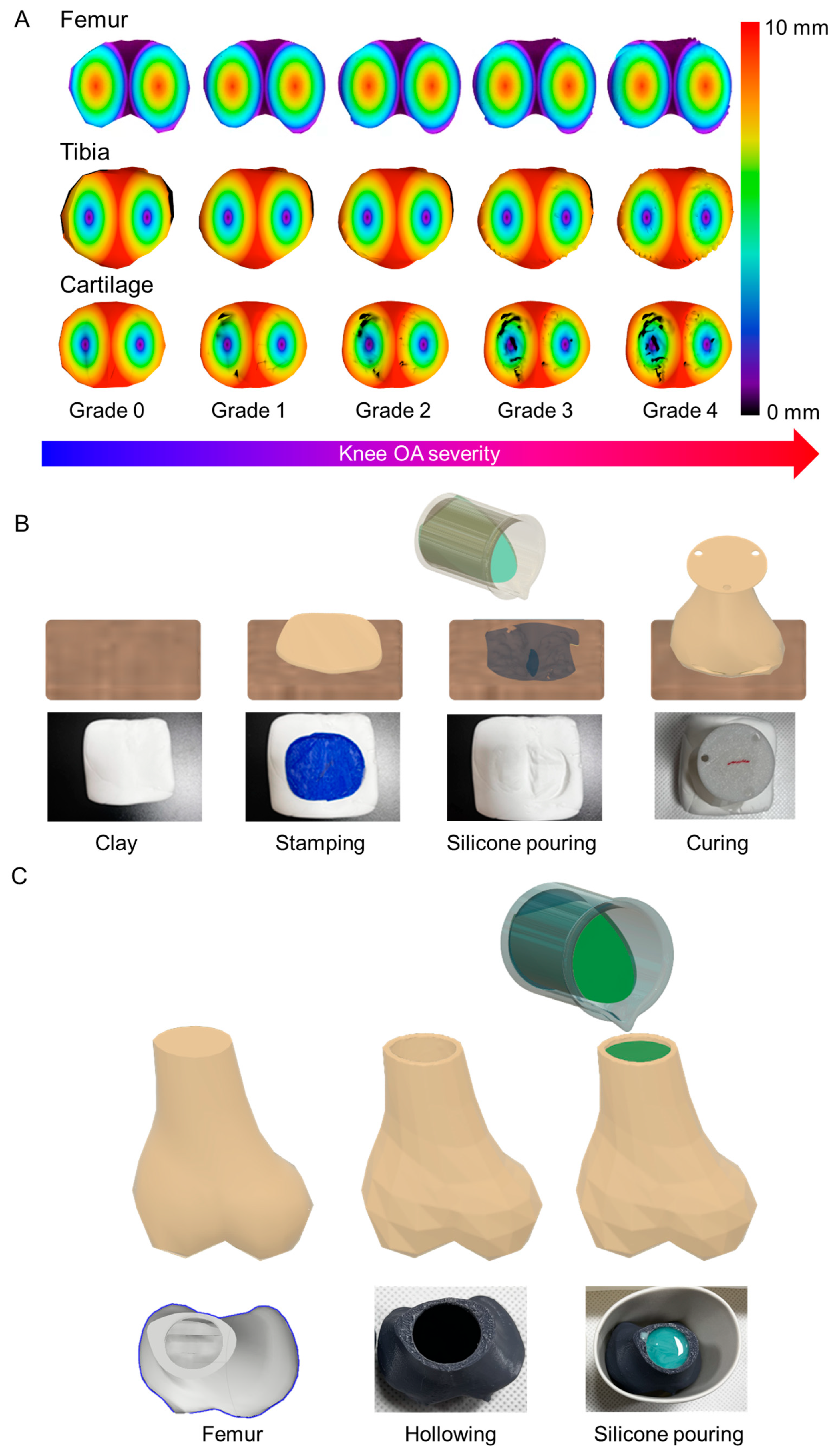 Biomimetics 09 00166 g003