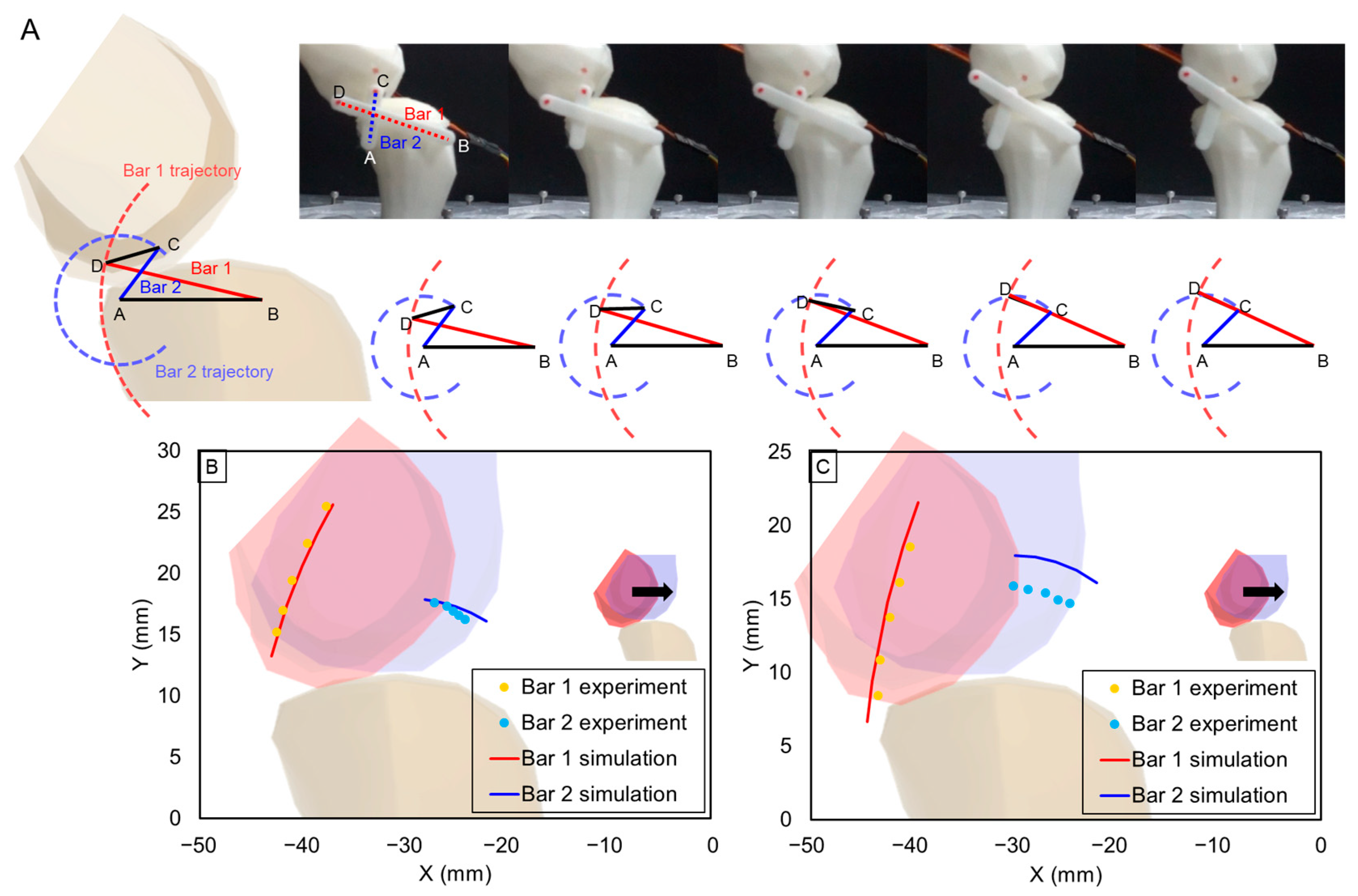 Biomimetics 09 00166 g007