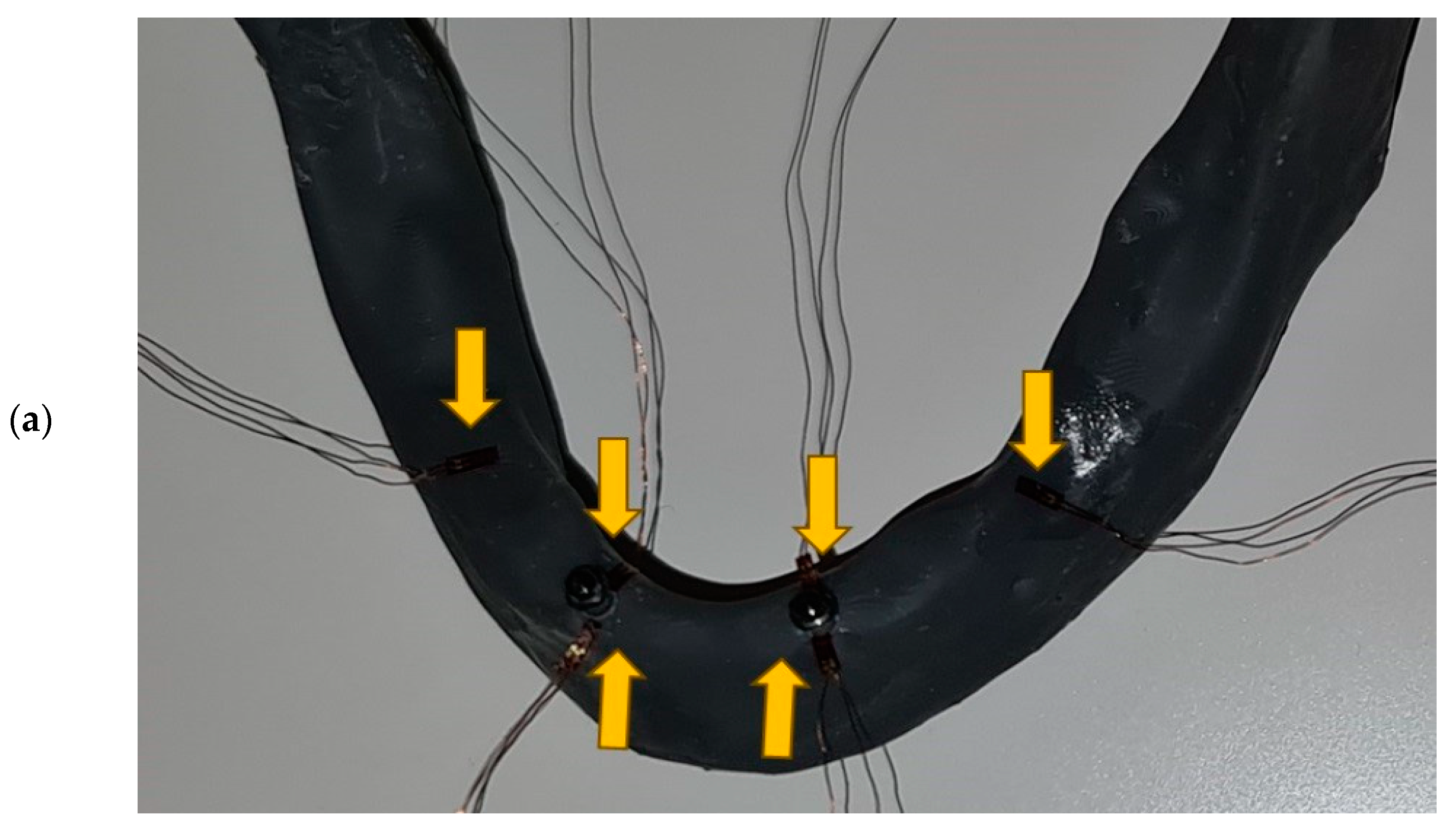 Biomimetics 09 00178 g001a