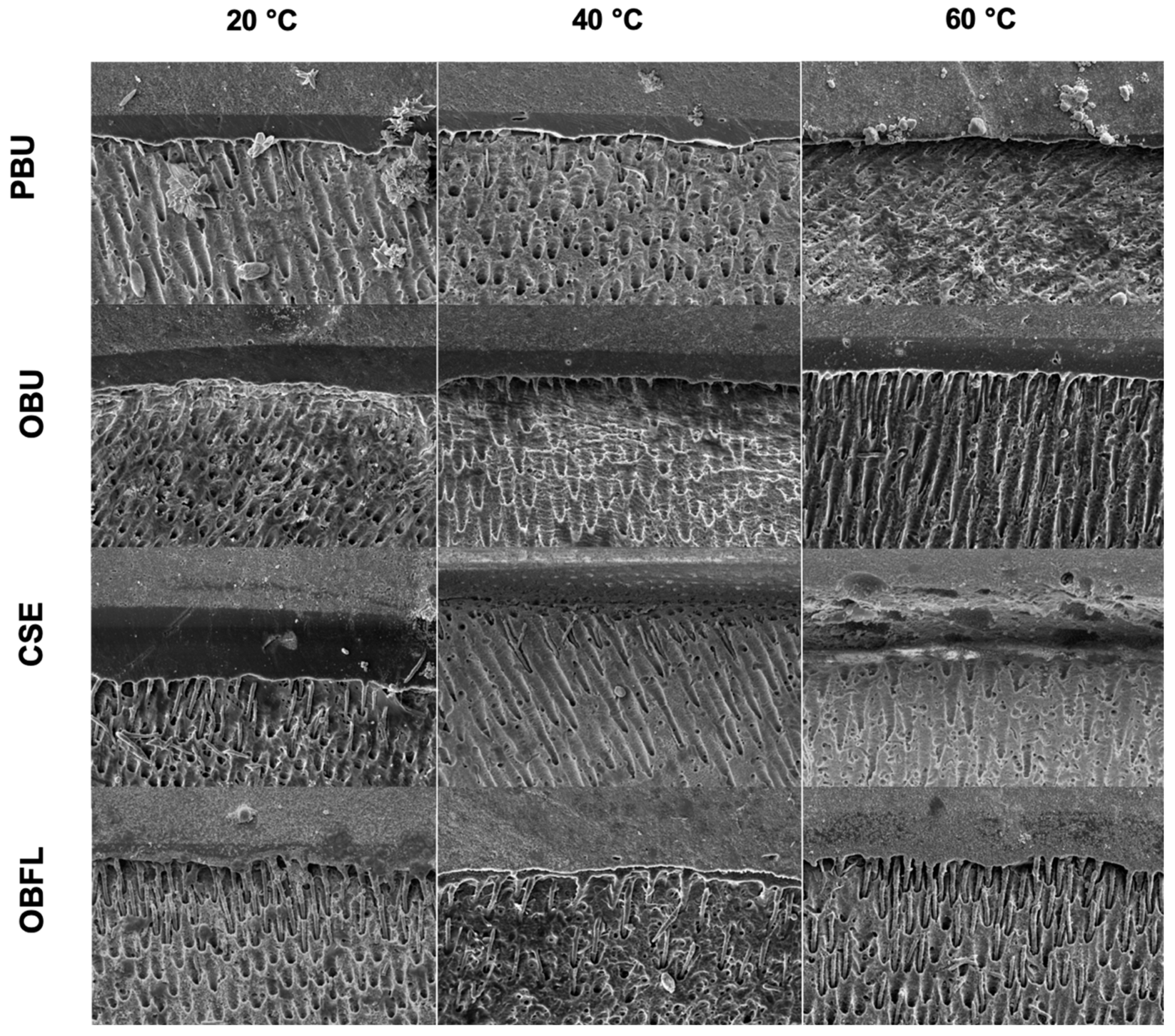 Biomimetics 09 00194 g004 Biomimetics 09 00194 g004