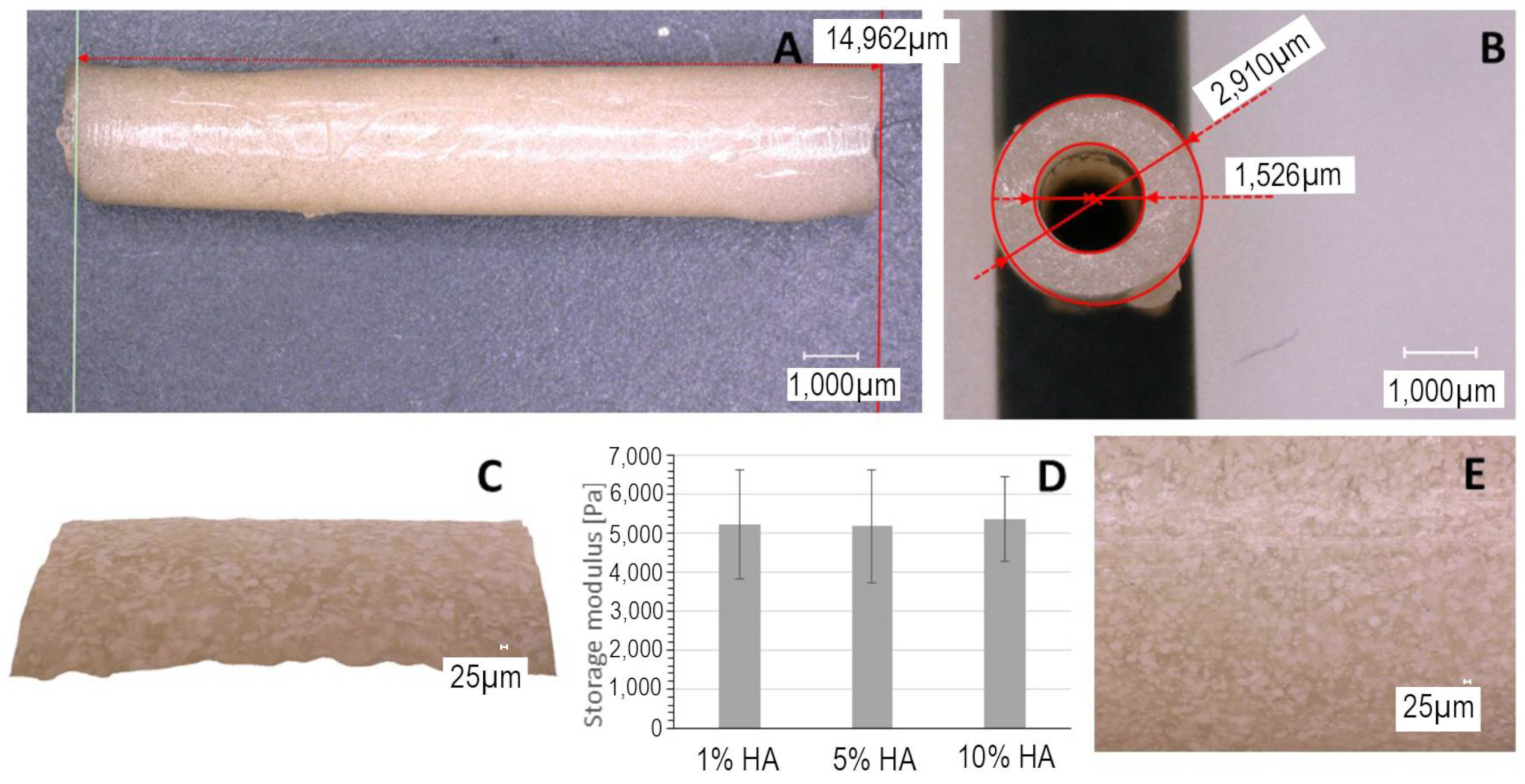 Biomimetics 09 00197 g003