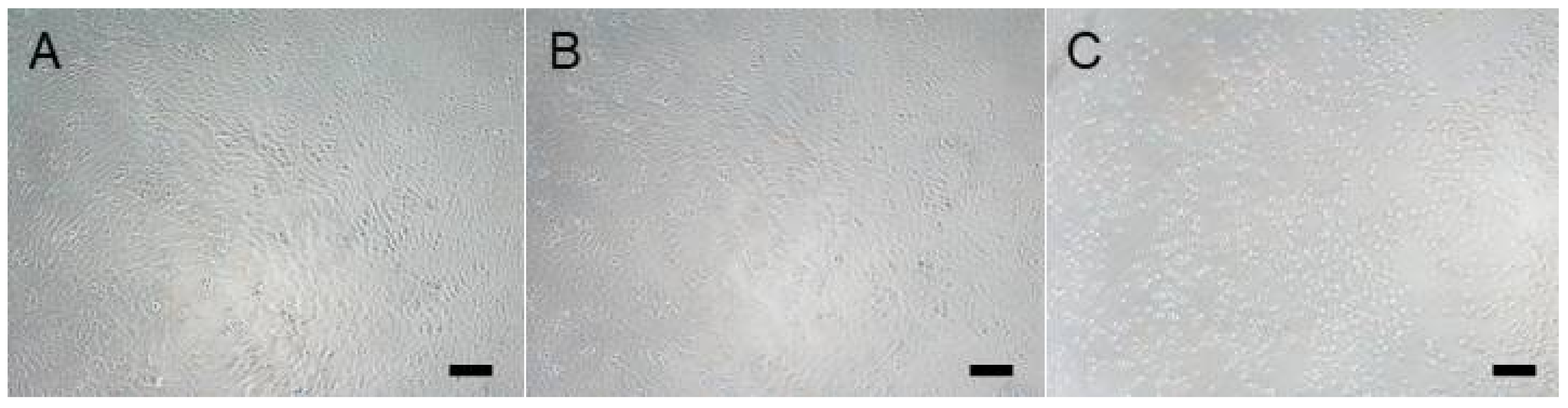 Biomimetics 09 00197 g006