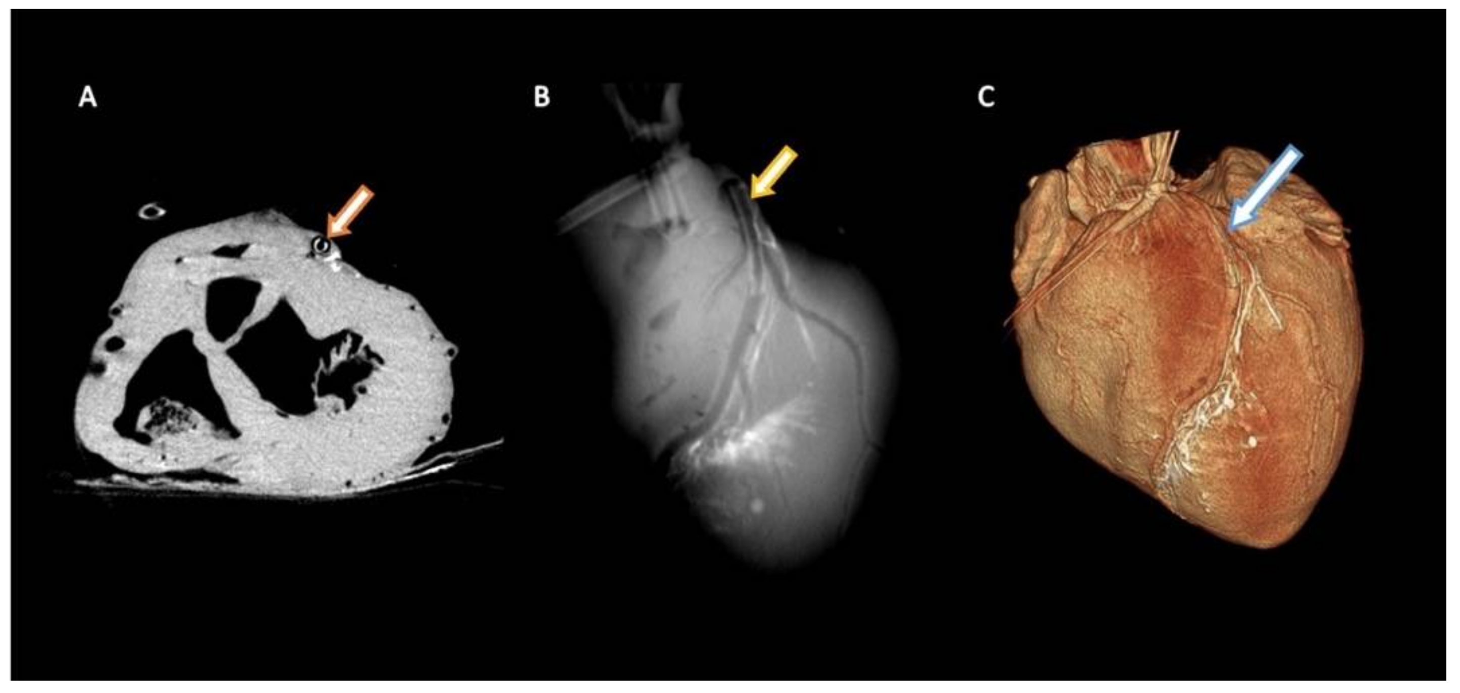 Biomimetics 09 00197 g008