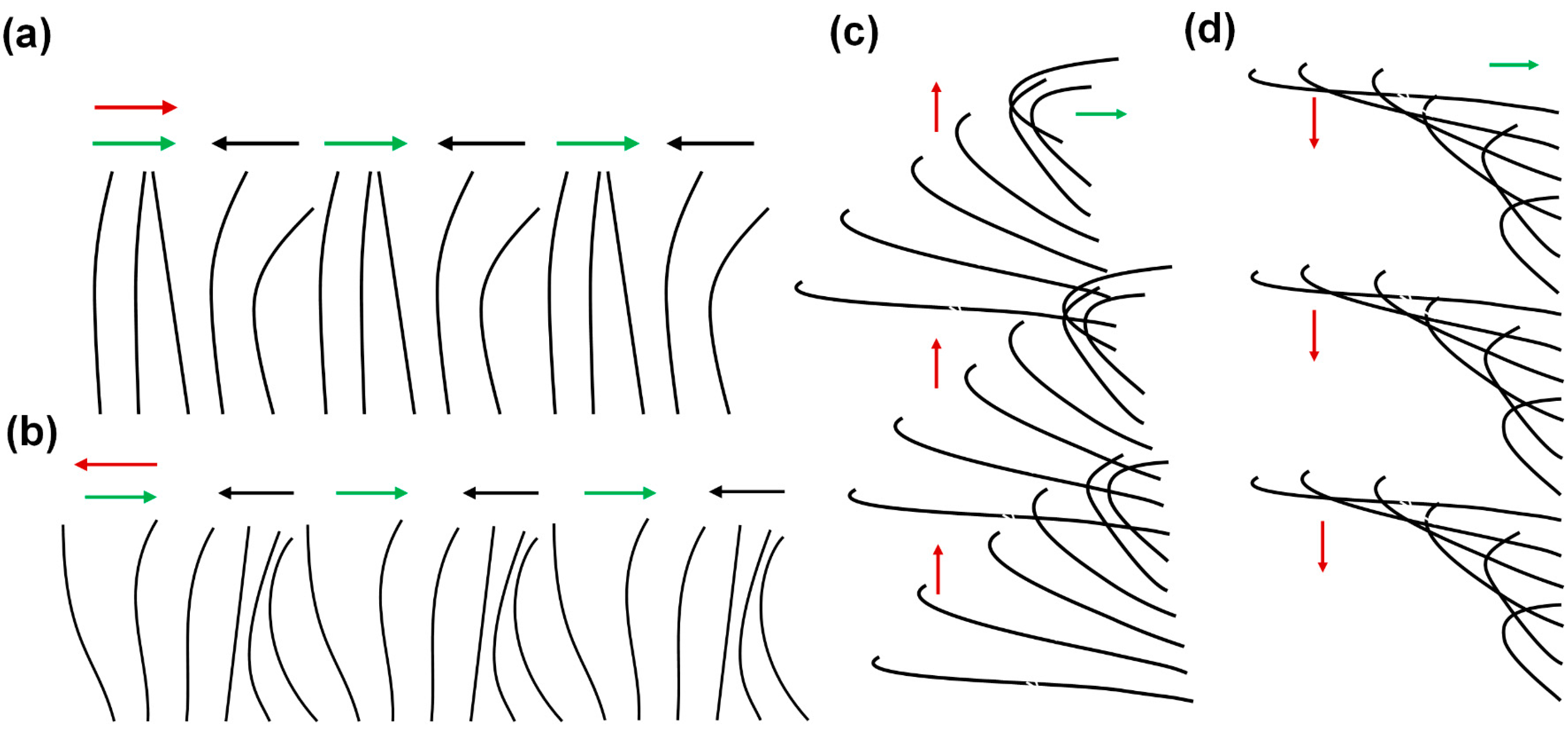 Biomimetics 09 00198 g001