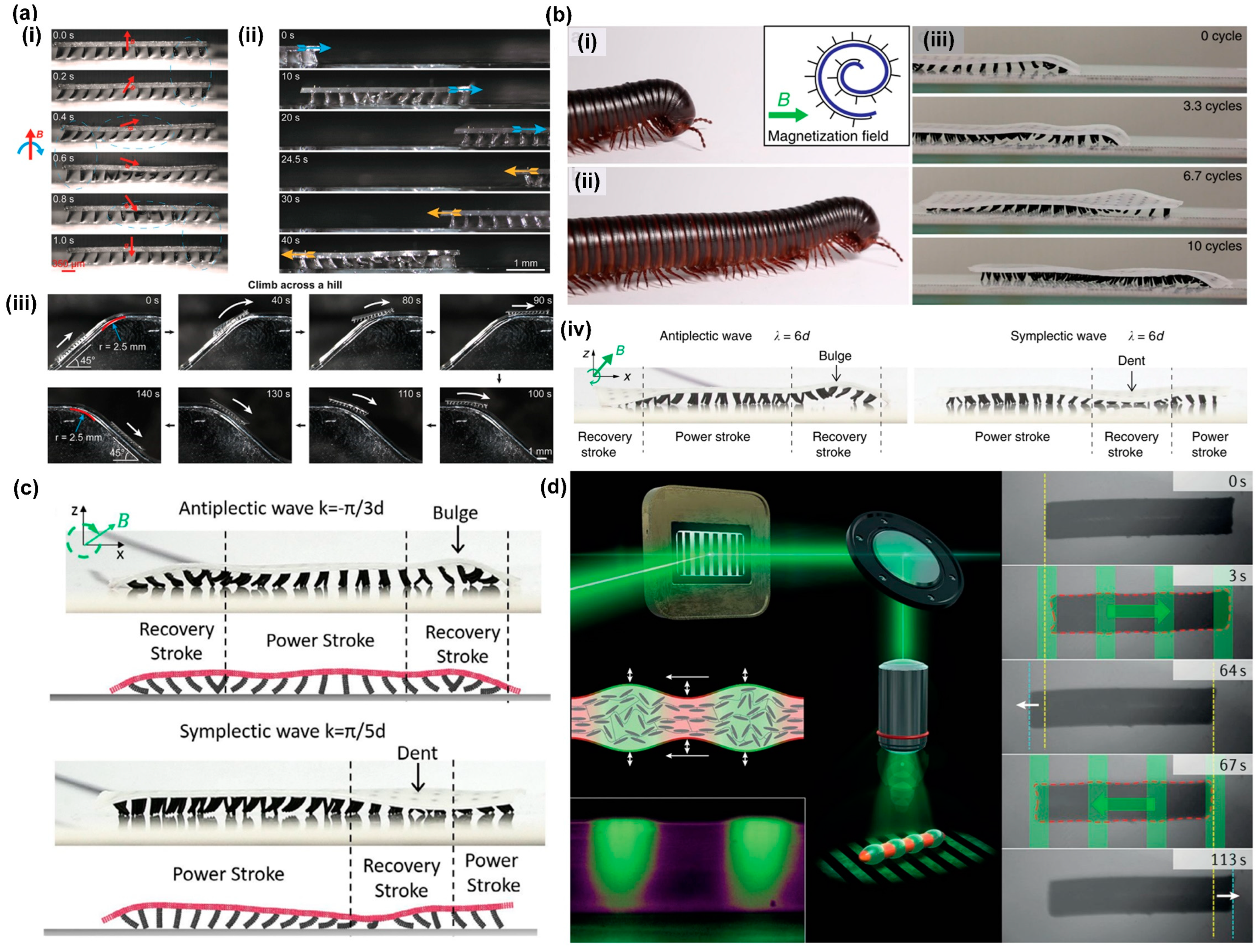 Biomimetics 09 00198 g009