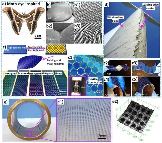 Biomimetics 09 00209 g024