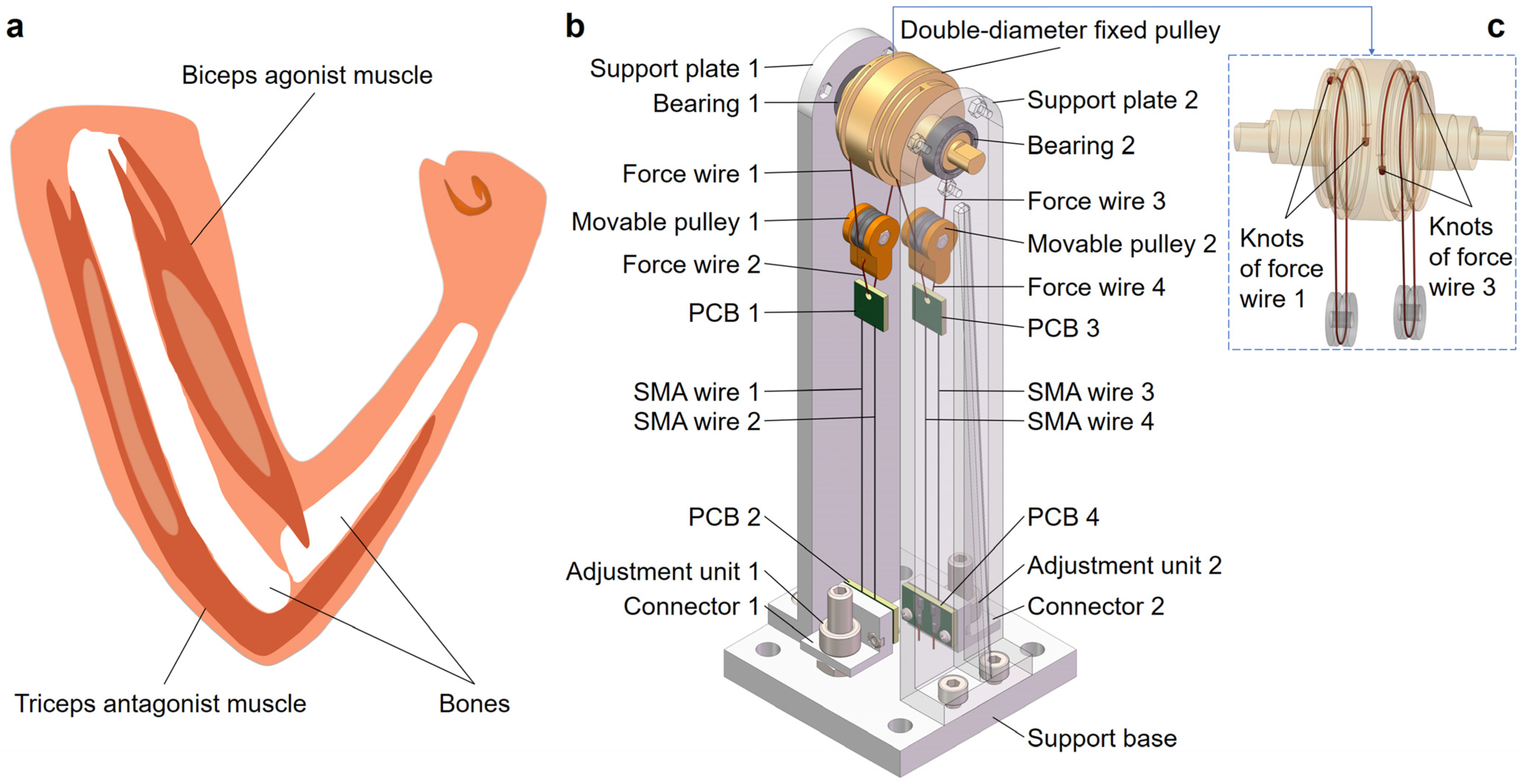 Biomimetics 09 00210 g002