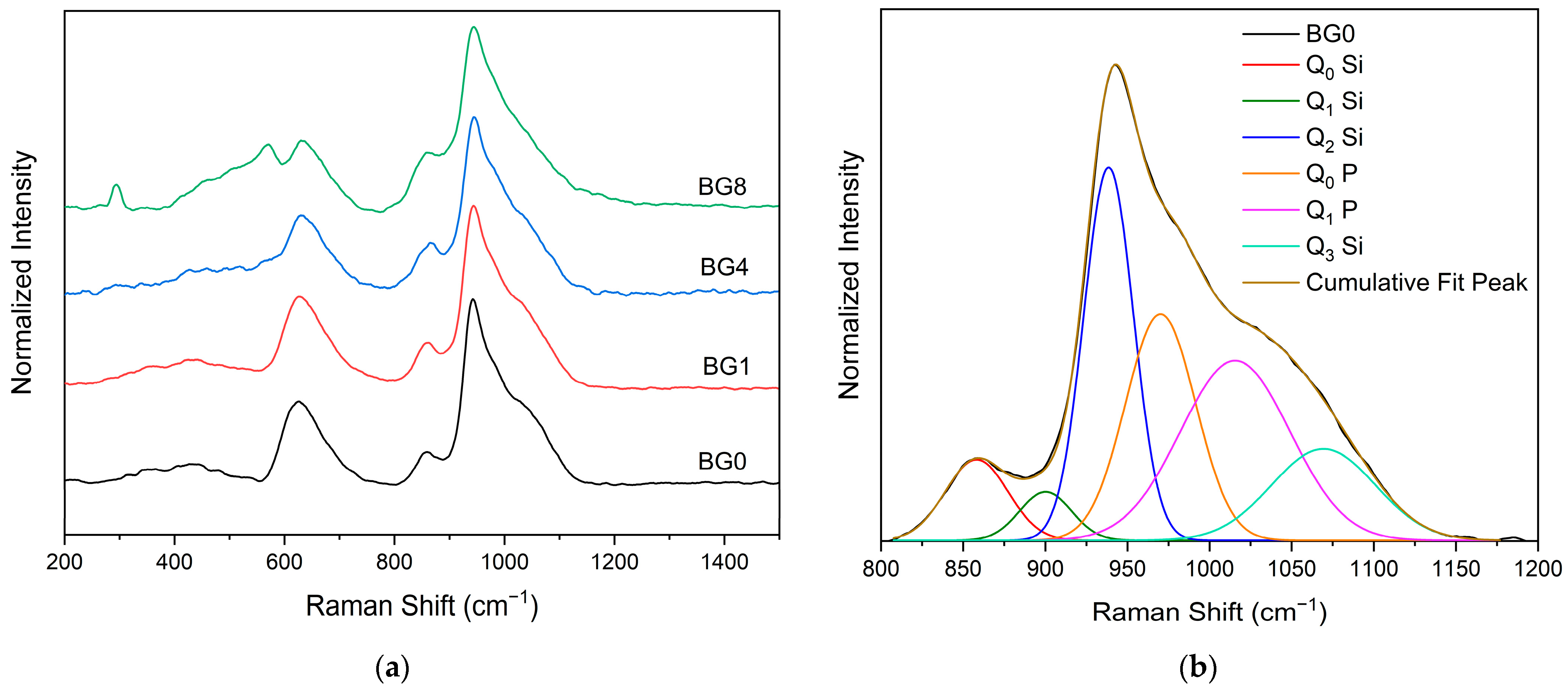 Biomimetics 09 00213 g003