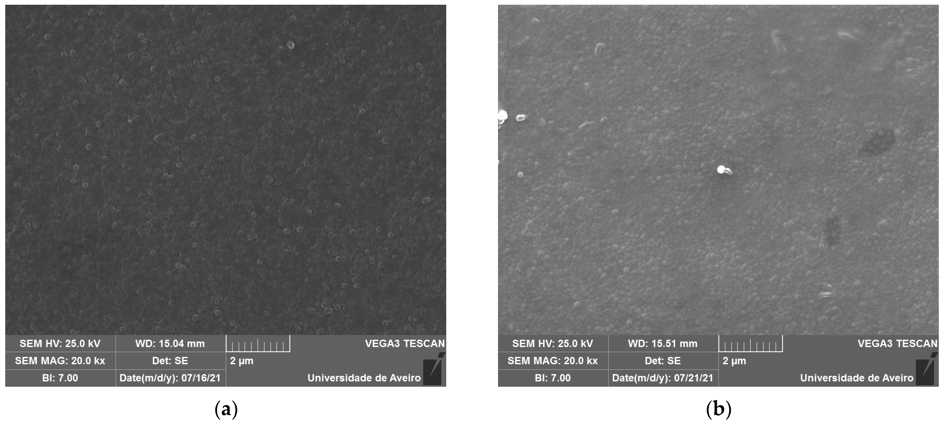 Biomimetics 09 00213 g005