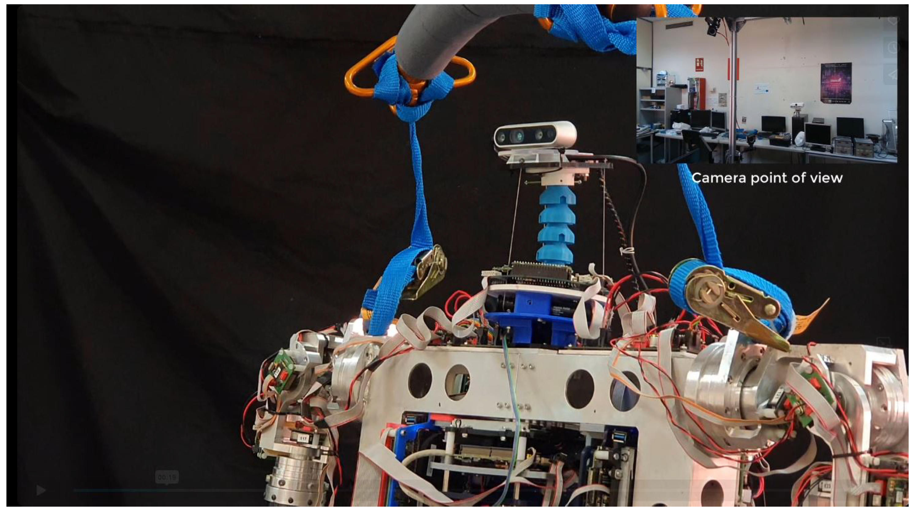 Biomimetics 09 00219 g017