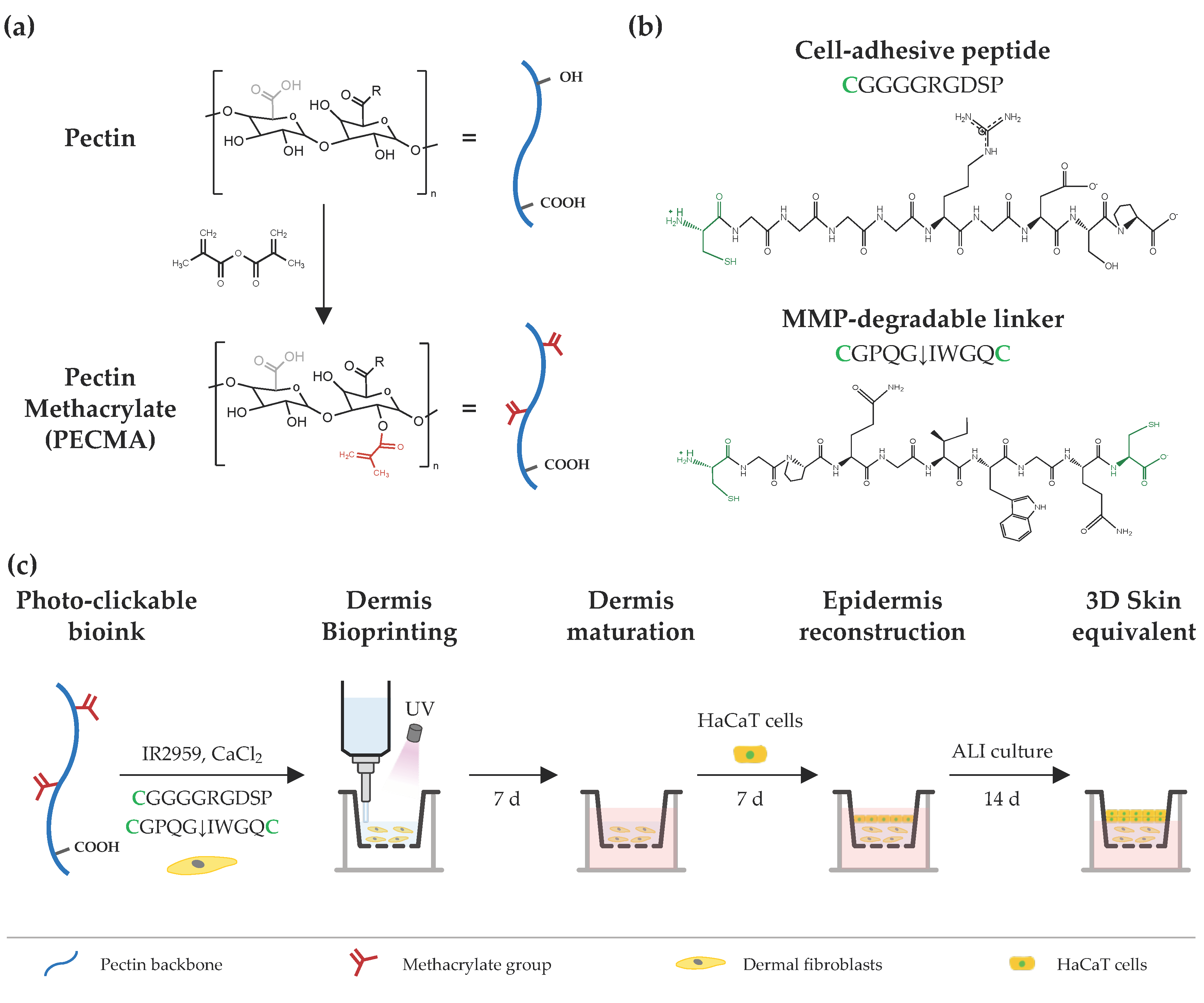 Biomimetics 09 00228 g001