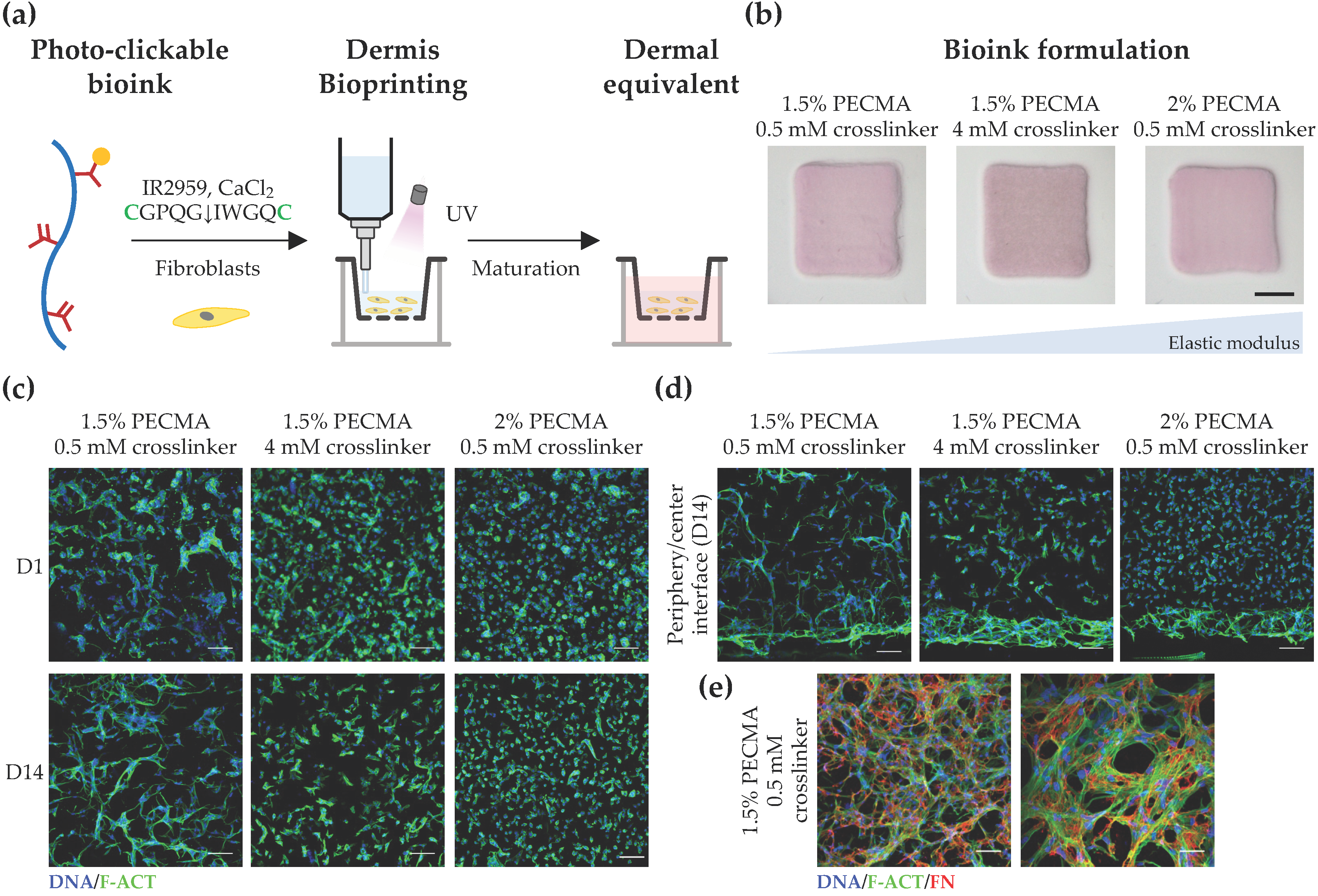 Biomimetics 09 00228 g004