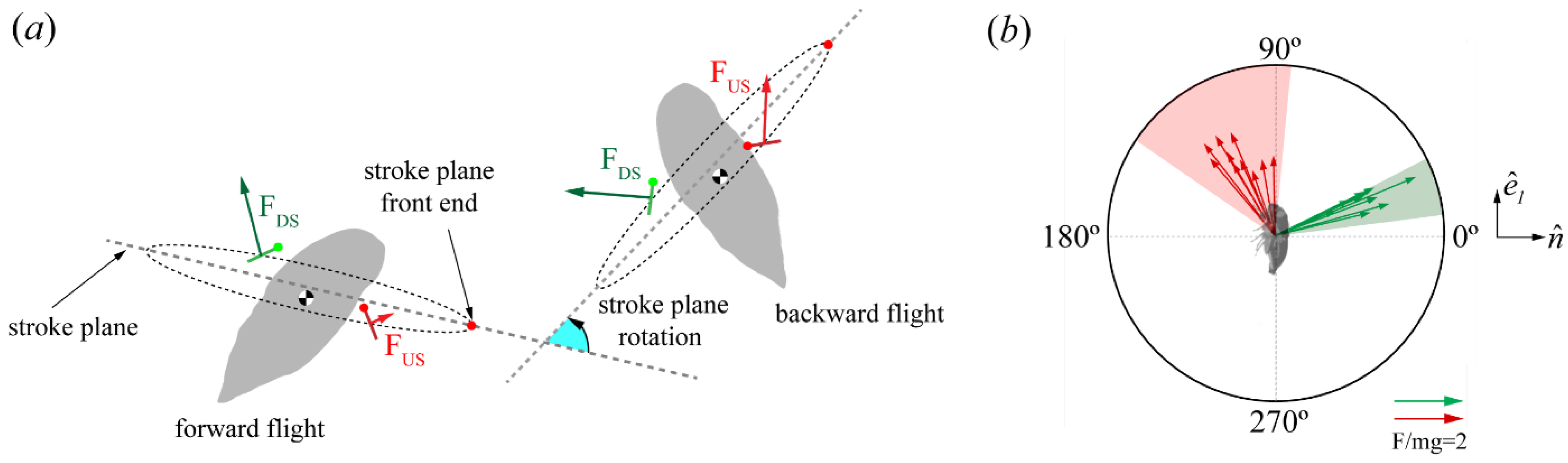 Biomimetics 09 00233 g011