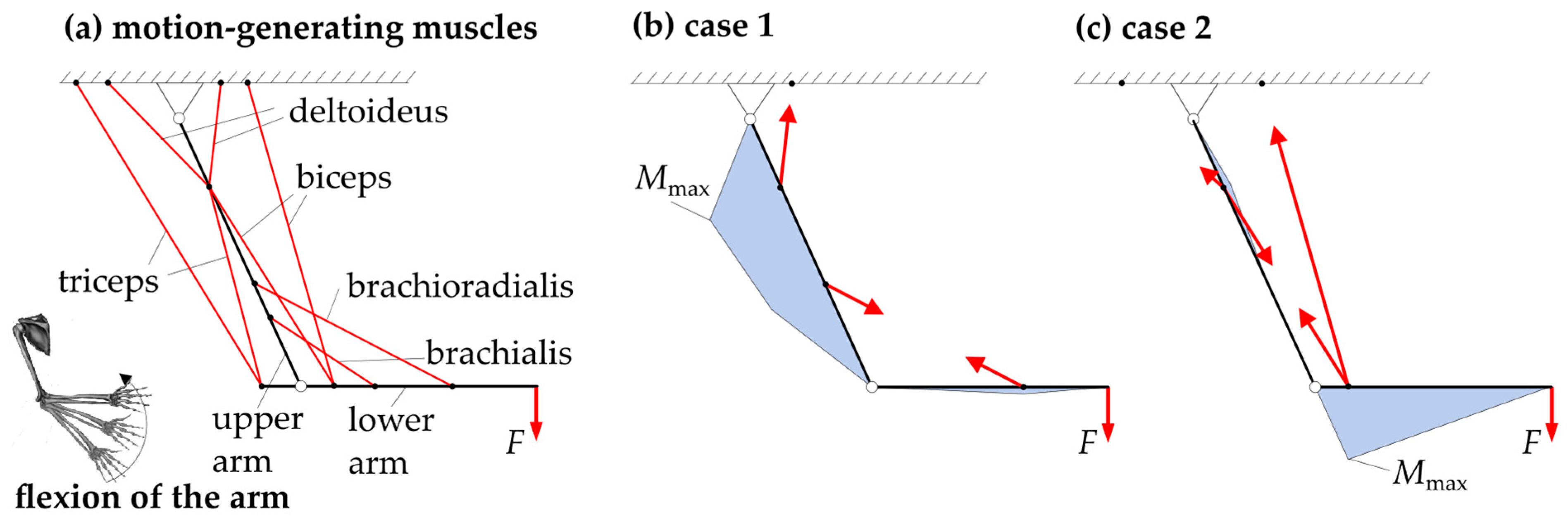 Biomimetics 09 00236 g001