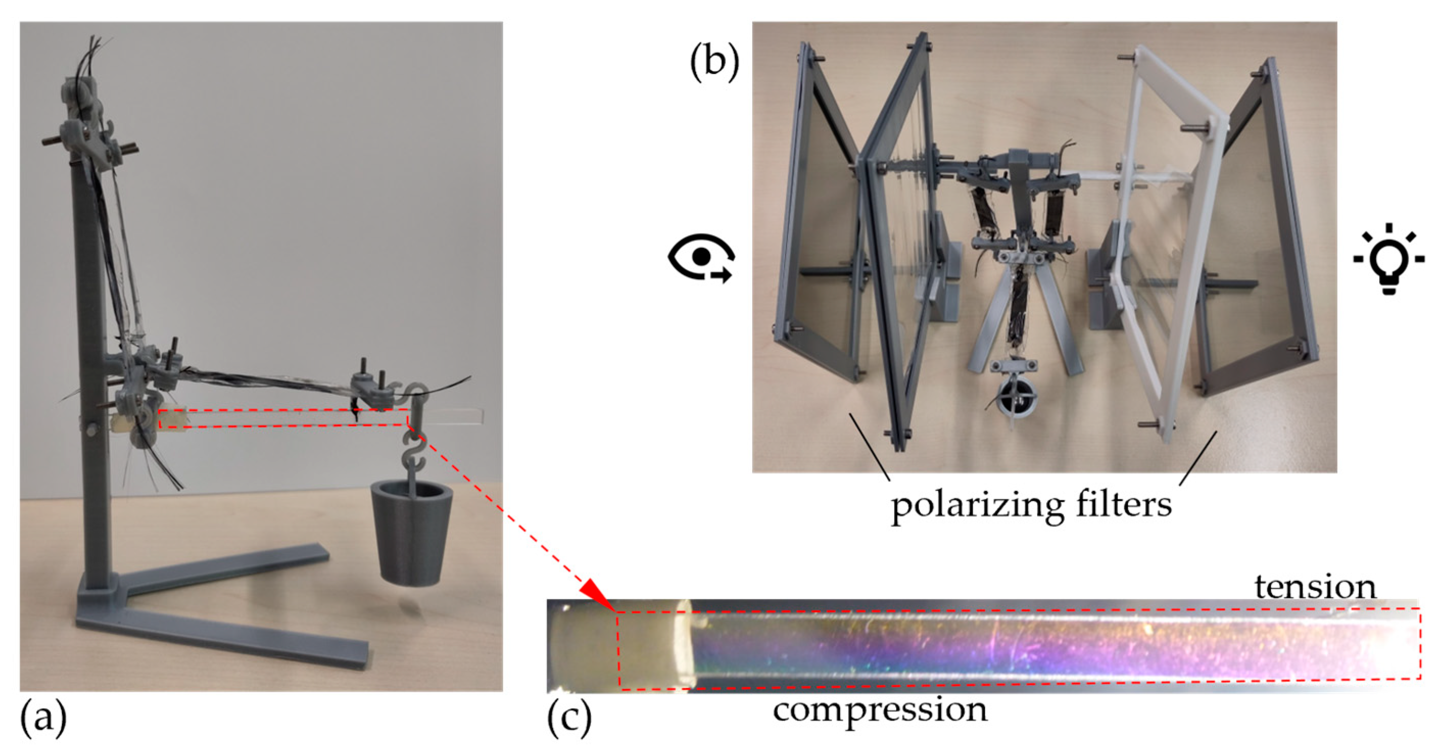 Biomimetics 09 00236 g006