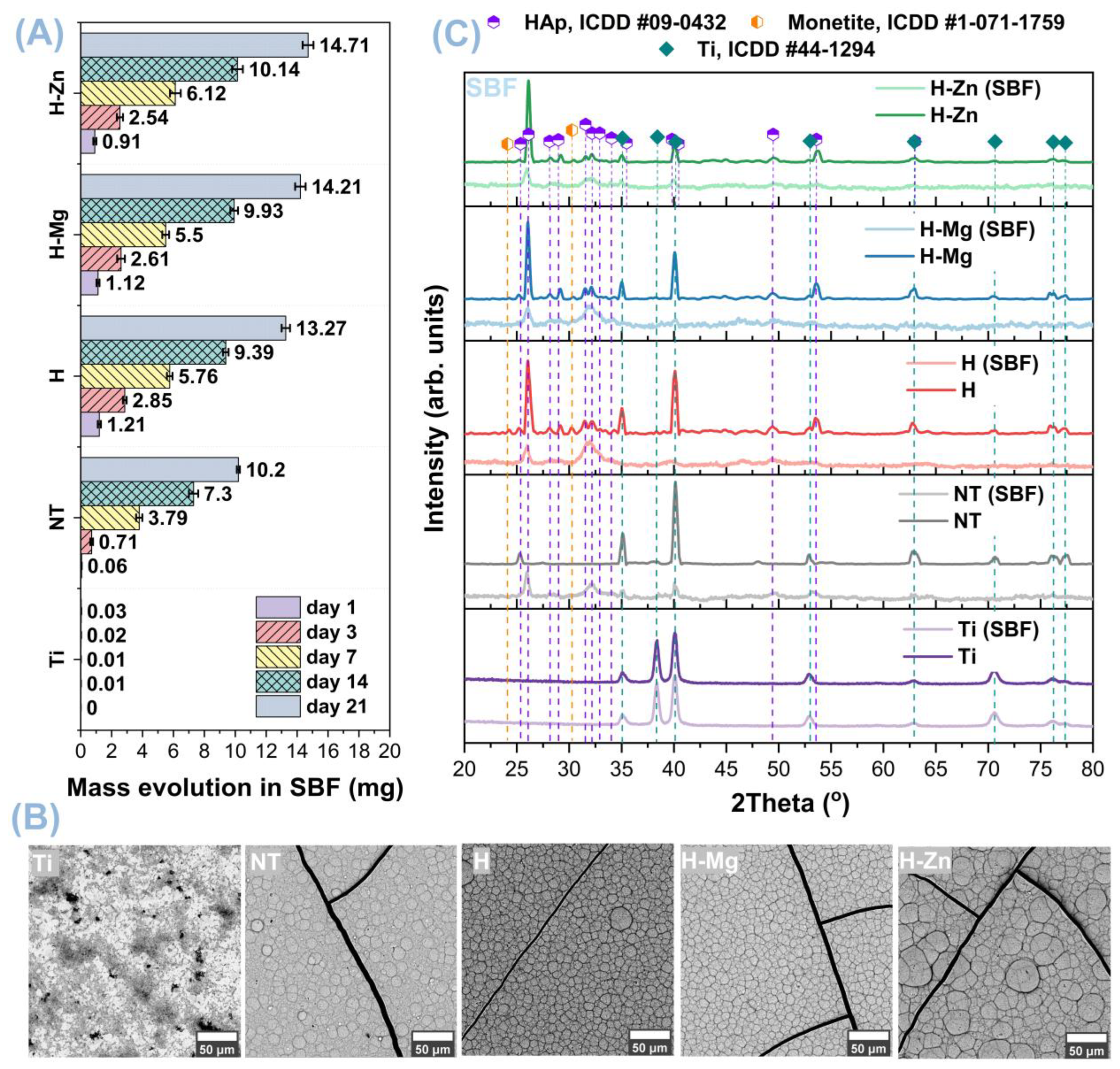 Biomimetics 09 00244 g006