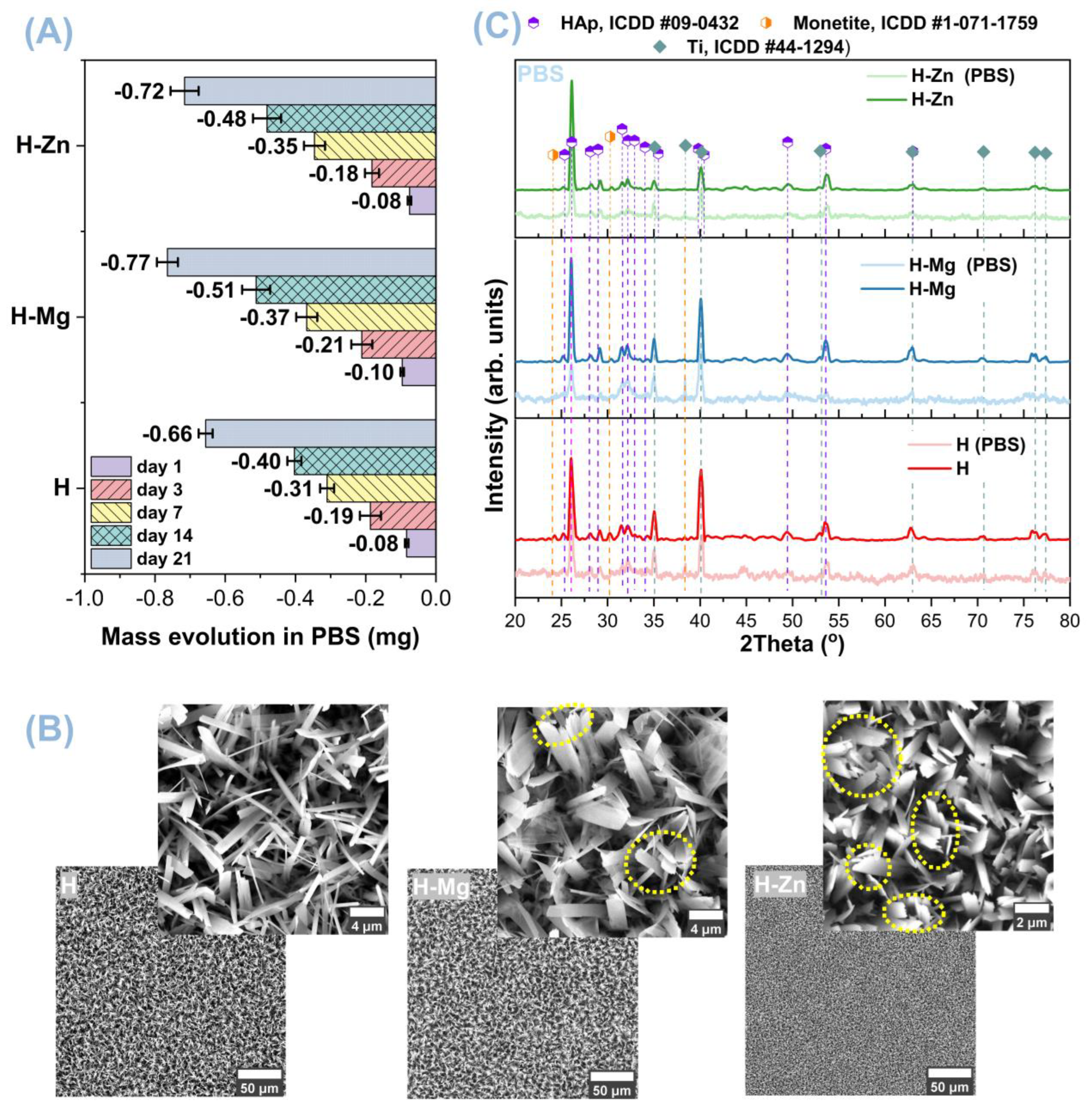 Biomimetics 09 00244 g007