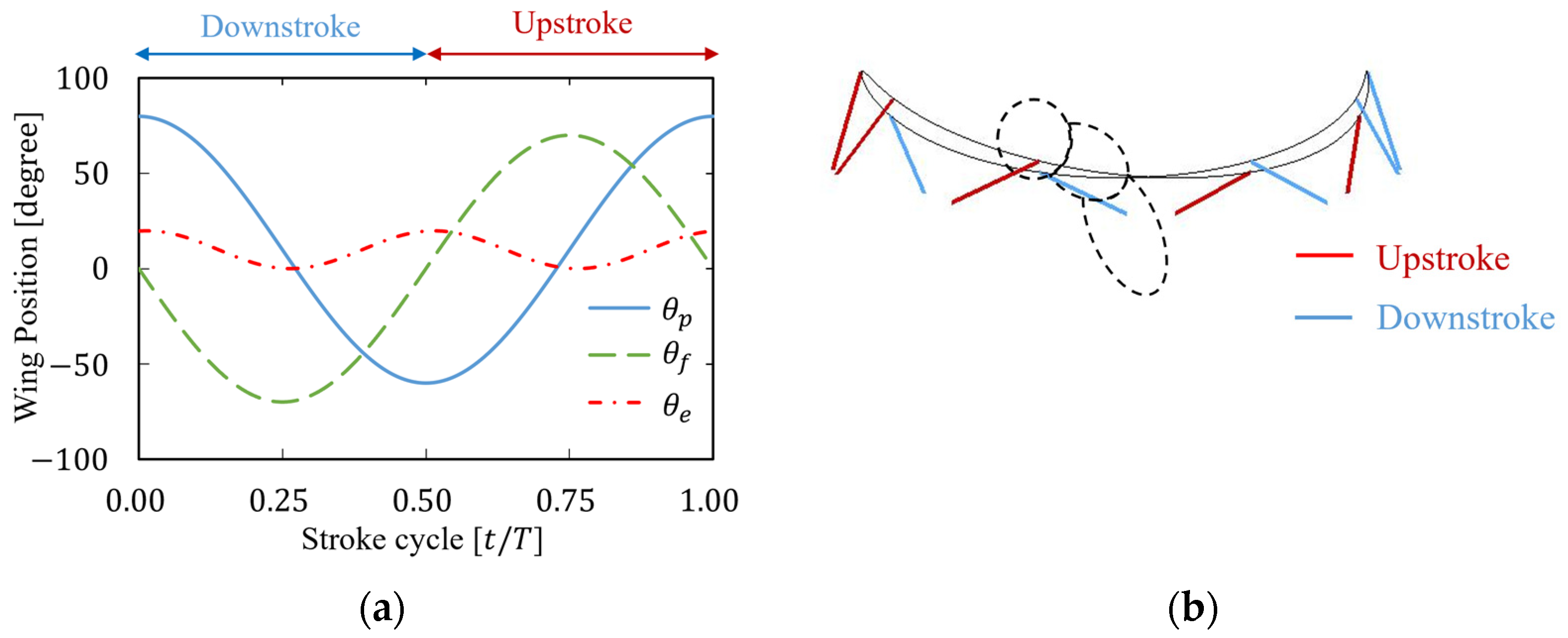 Biomimetics 09 00249 g003